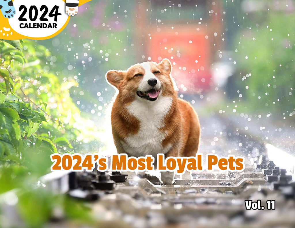 2024's Most Loyal Pets Volume Eleven: 2024 Wall Calendar (Published)