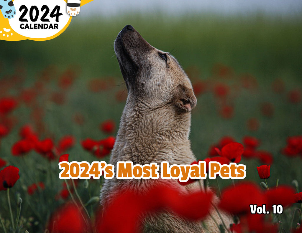 2024's Most Loyal Pets Volume Ten: 2024 Wall Calendar (Published)
