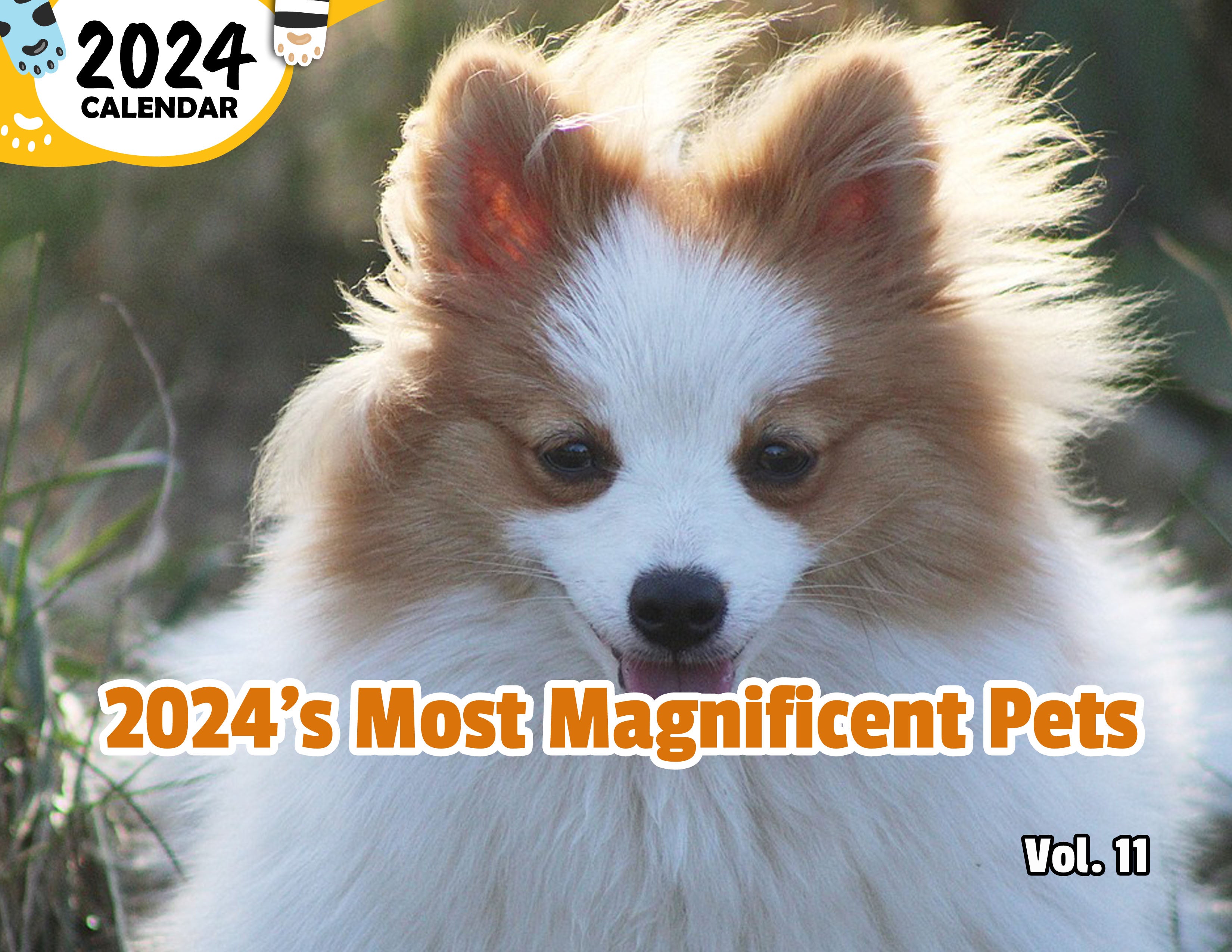 2024's Most Magnificent Pets Volume Eleven: 2024 Wall Calendar (Published)