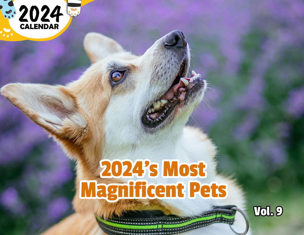 2024's Most Magnificent Pets Volume Nine: 2024 Wall Calendar (Published)