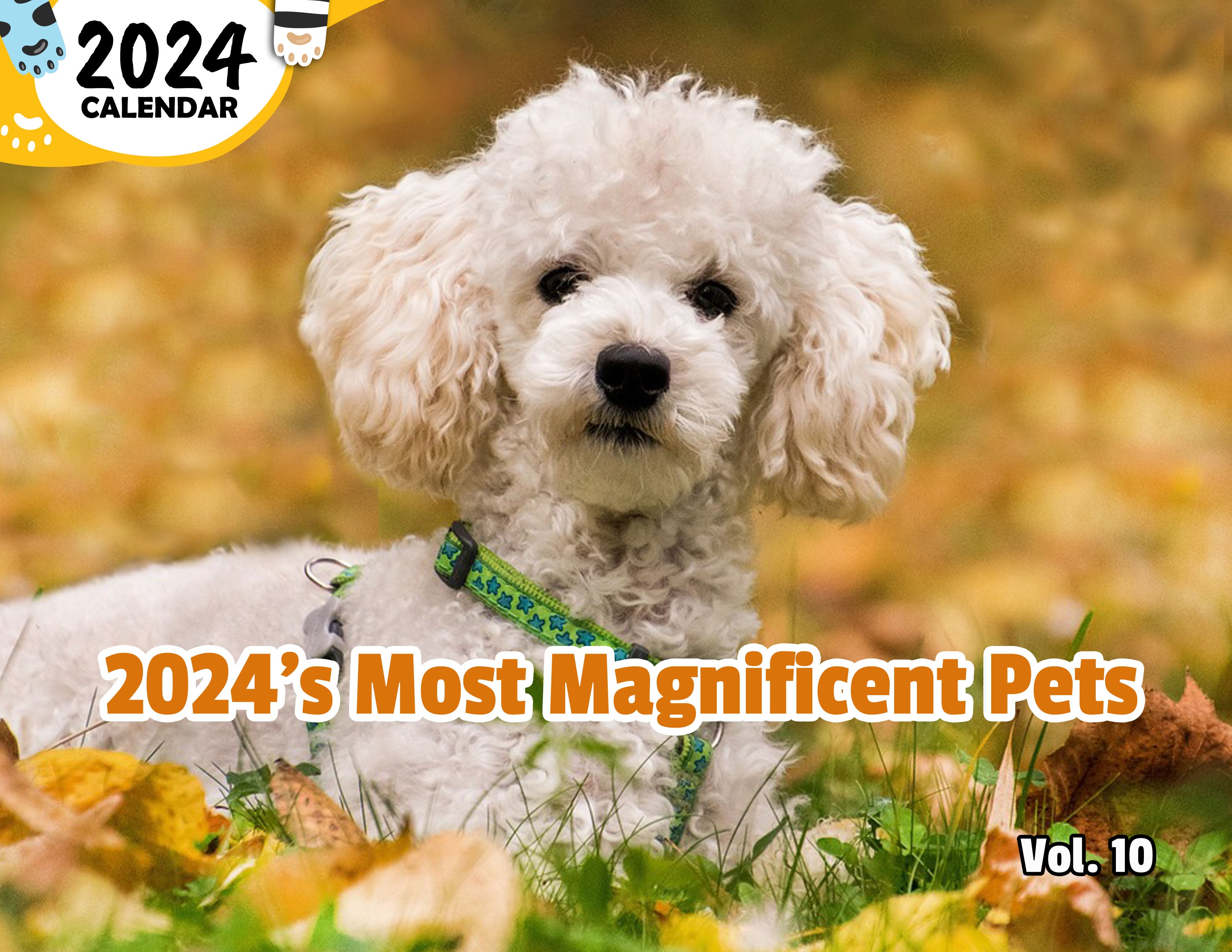 2024's Most Magnificent Pets Volume Ten: 2024 Wall Calendar (Published)