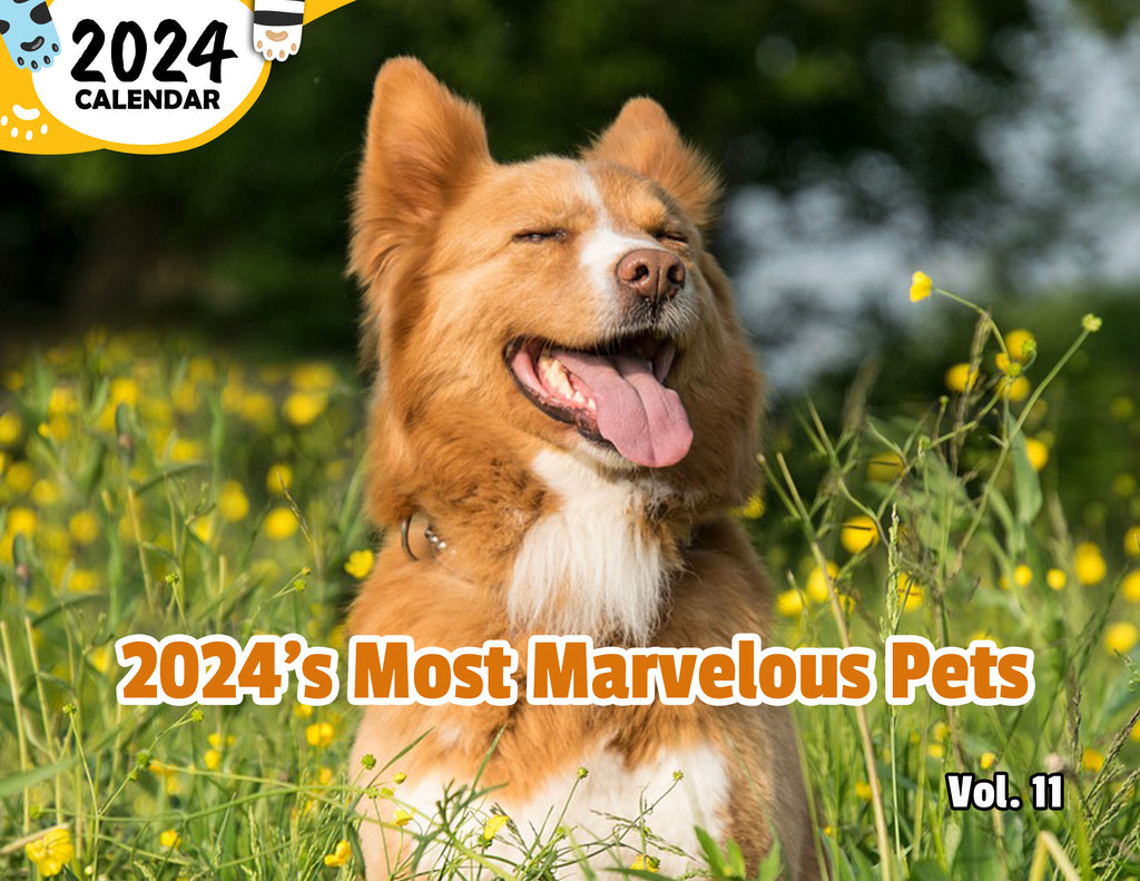 2024's Most Marvelous Pets Volume Eleven: 2024 Wall Calendar (Published)