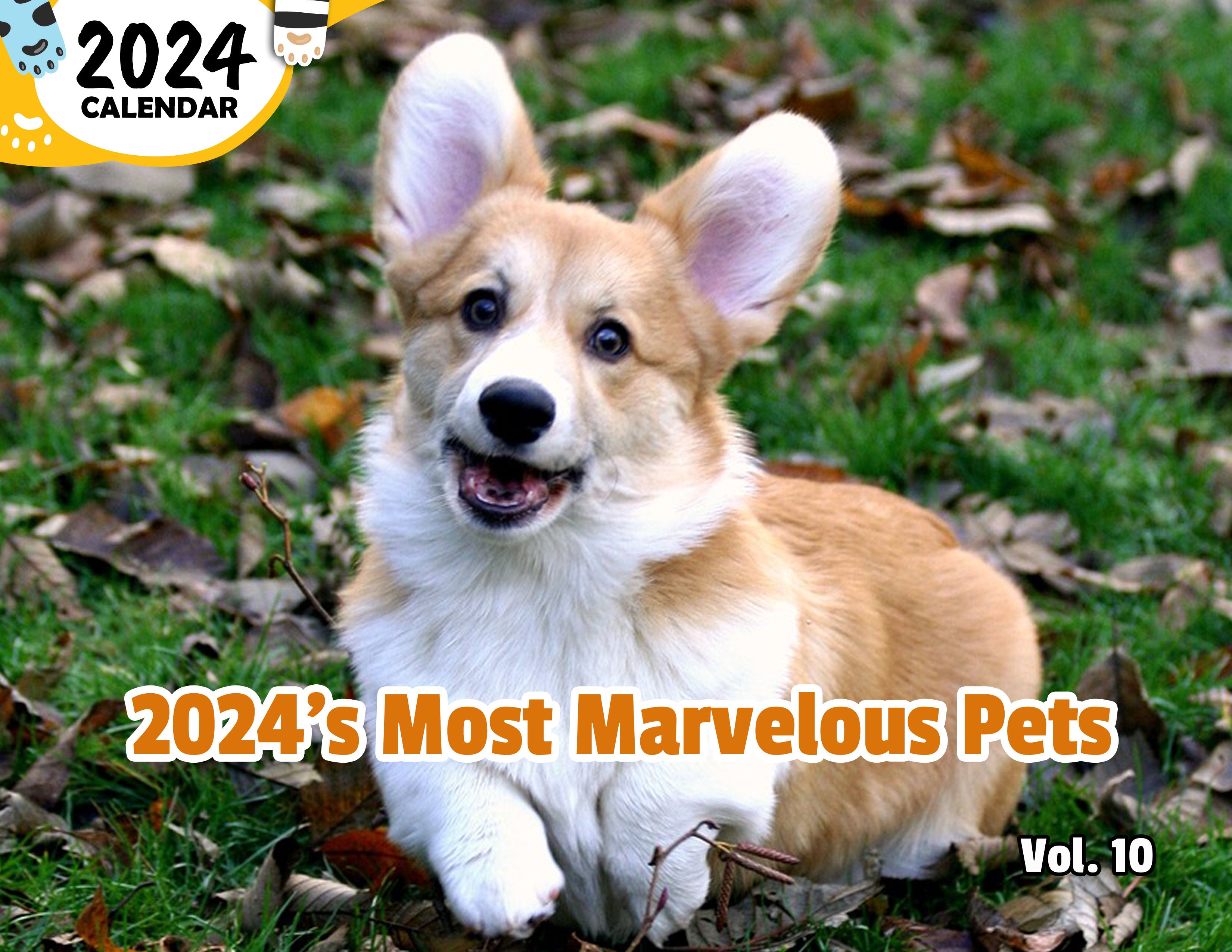 2024's Most Marvelous Pets Volume Ten: 2024 Wall Calendar (Published)