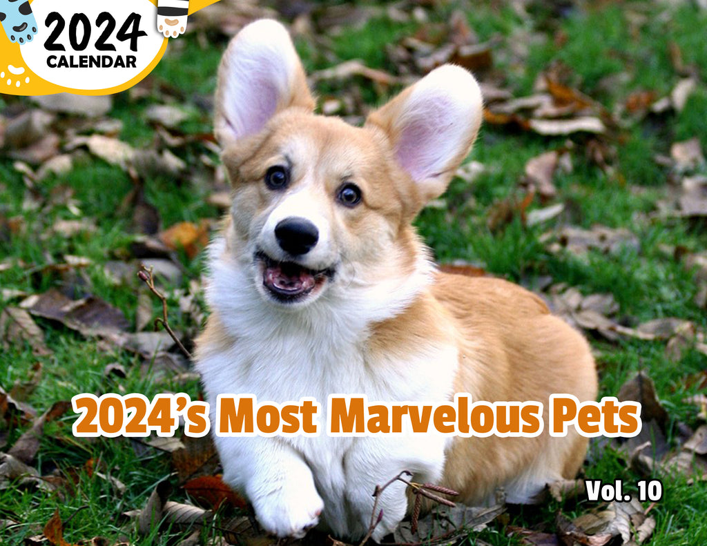2024's Most Marvelous Pets Volume Ten: 2024 Wall Calendar (Published)