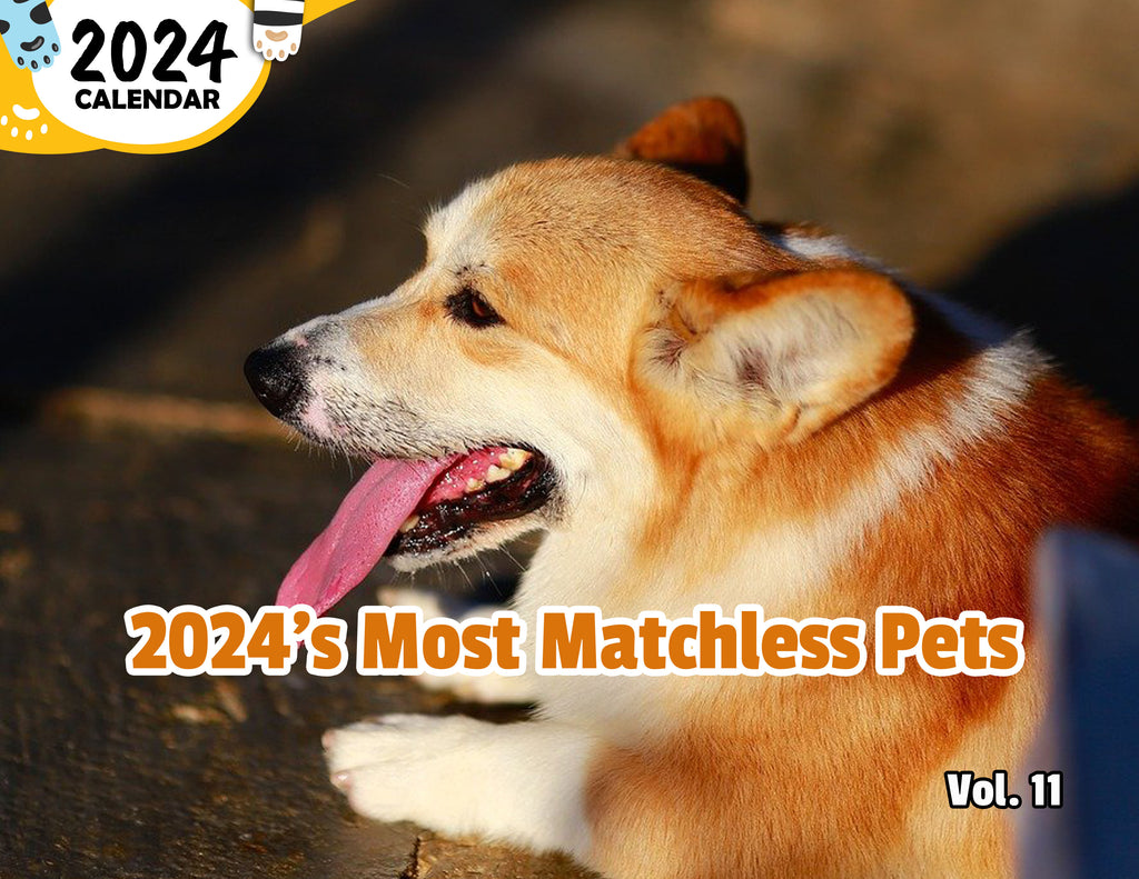 2024's Most Matchless Pets Volume Eleven: 2024 Wall Calendar (Published)
