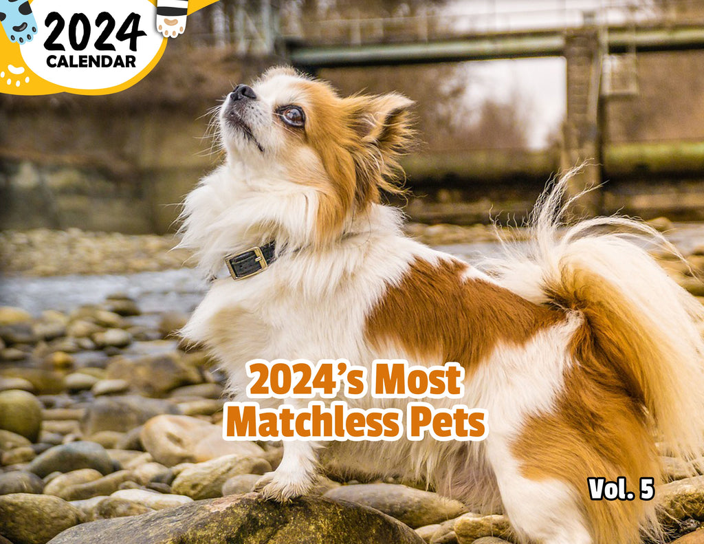 2024's Most Matchless Pets Volume Five: 2024 Wall Calendar (Published)