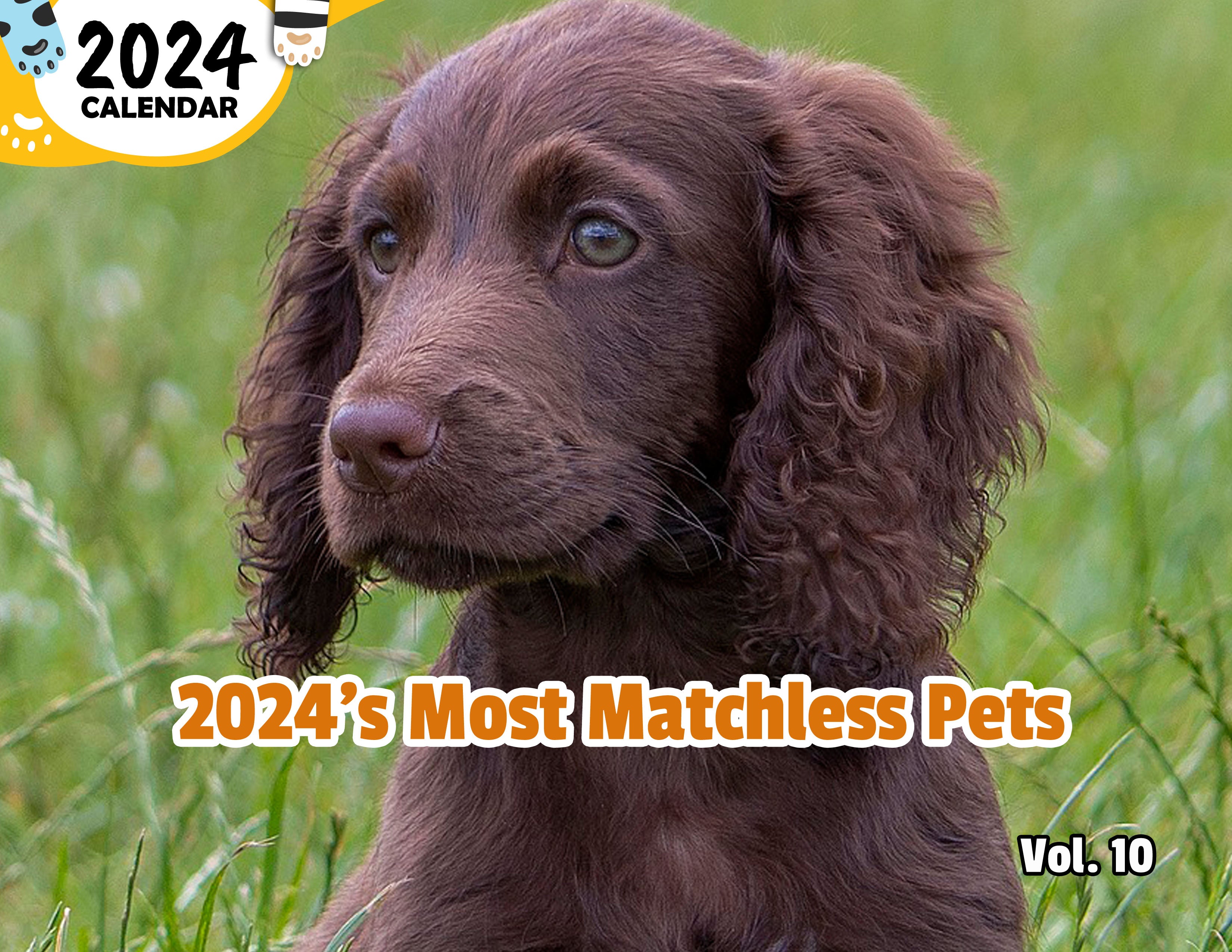 2024's Most Matchless Pets Volume Ten: 2024 Wall Calendar (Published)