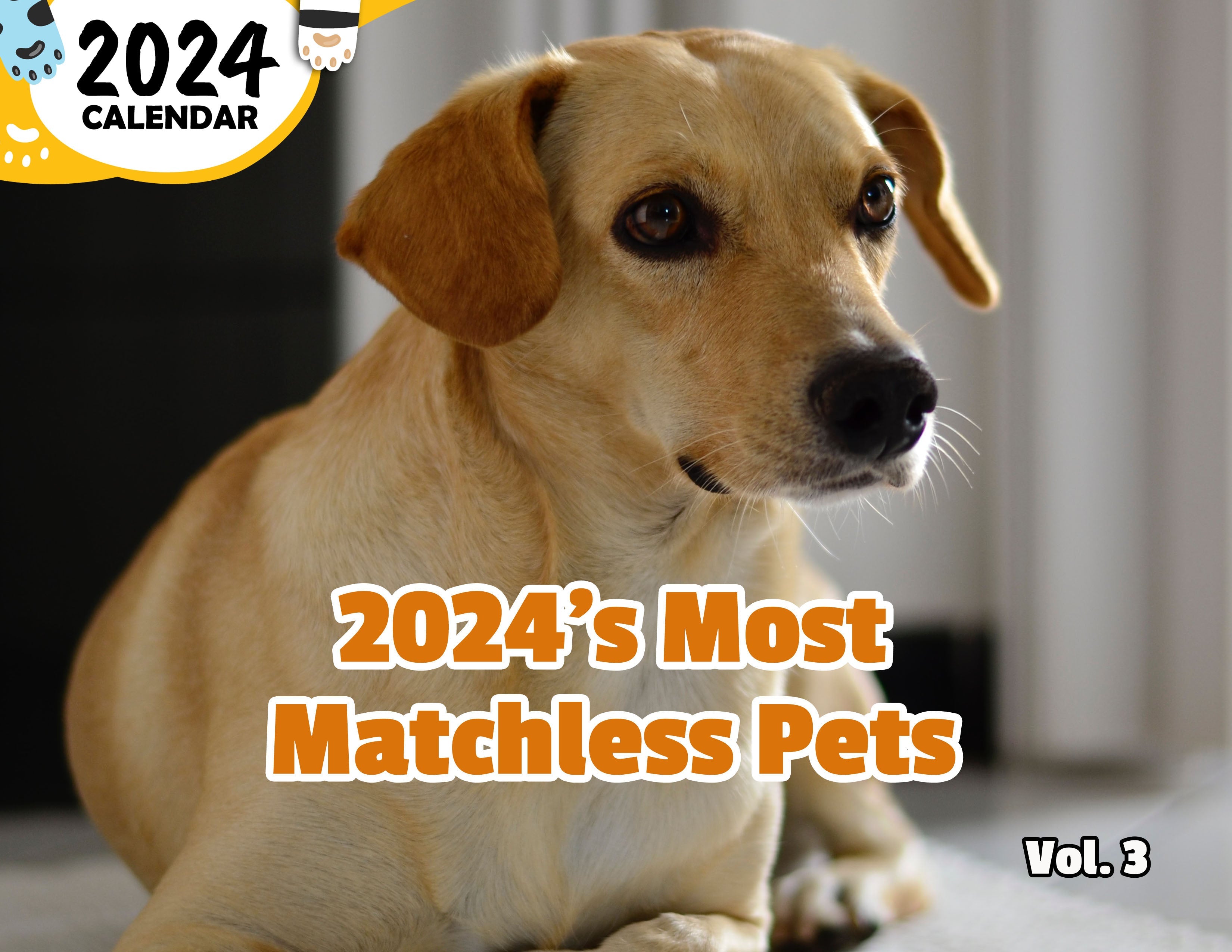 2024's Most Matchless Pets Volume Three: 2024 Wall Calendar (Published)