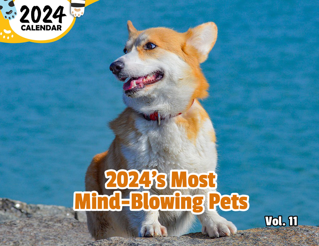 2024's Most Mind-Blowing Pets Volume Eleven: 2024 Wall Calendar (Published)
