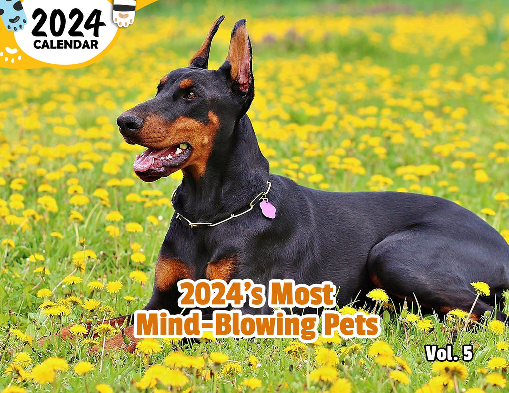 2024's Most Mind-Blowing Pets Volume Five: 2024 Wall Calendar (Published)