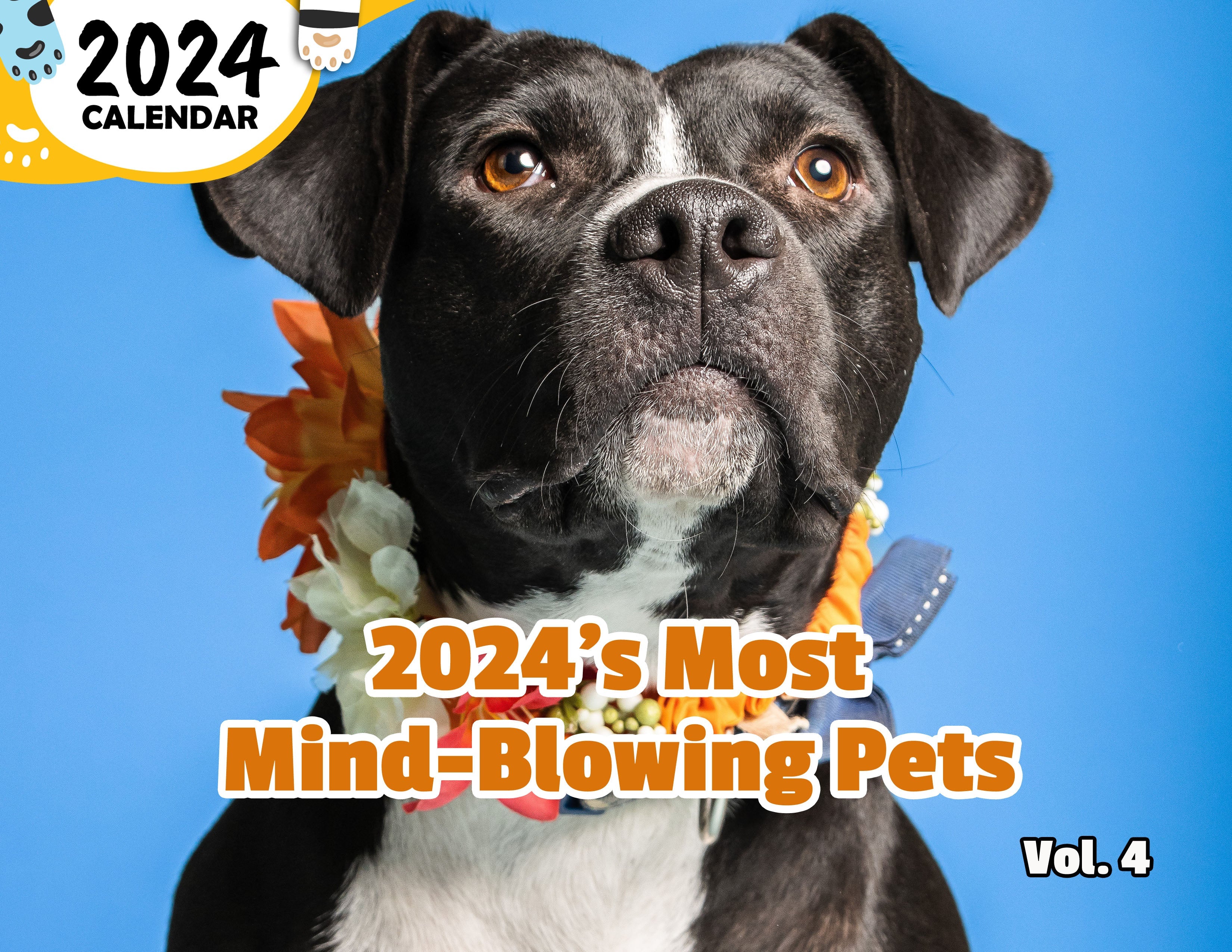 2024's Most Mind-Blowing Pets Volume Four: 2024 Wall Calendar (Published)
