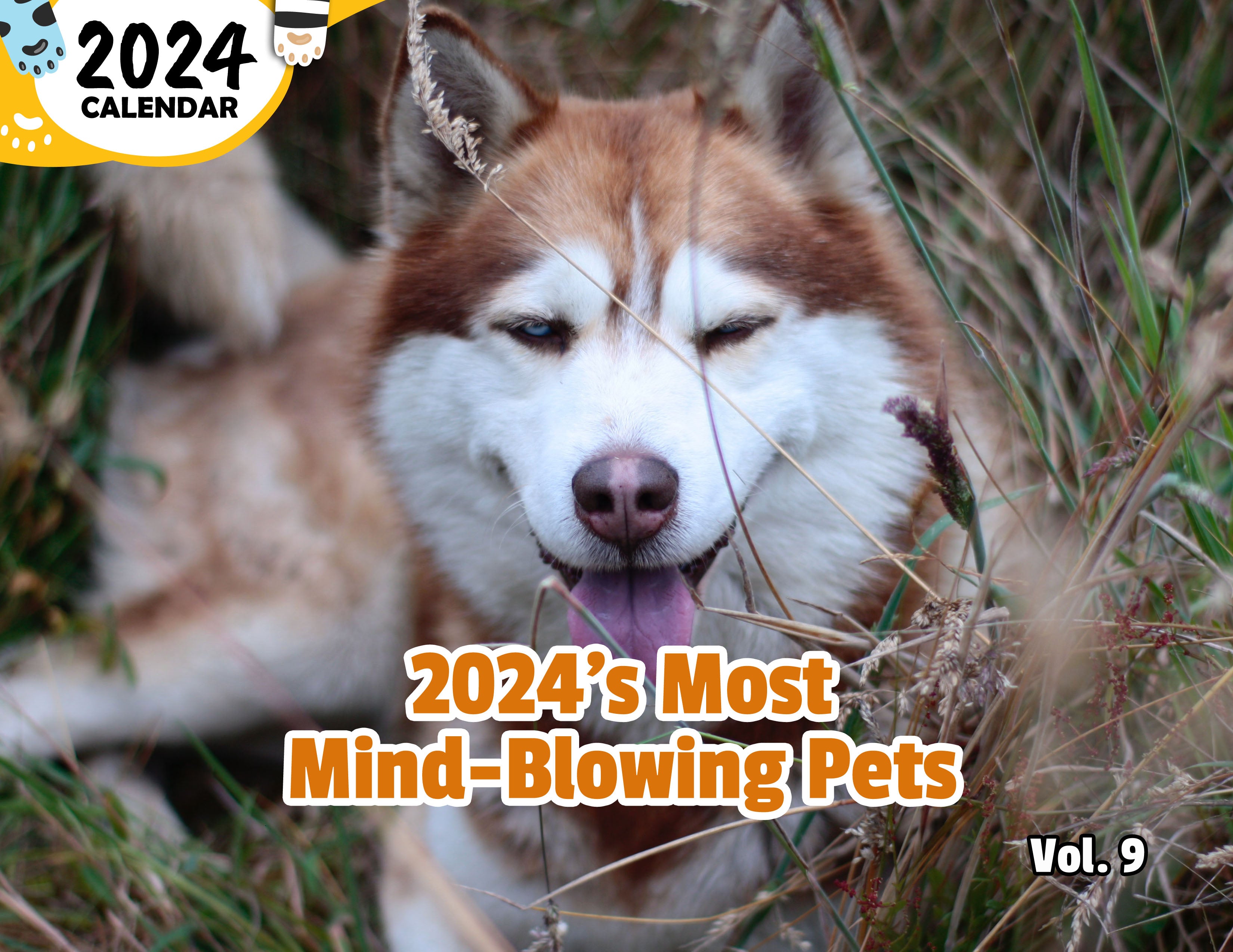 2024's Most Mind-Blowing Pets Volume Nine: 2024 Wall Calendar (Published)