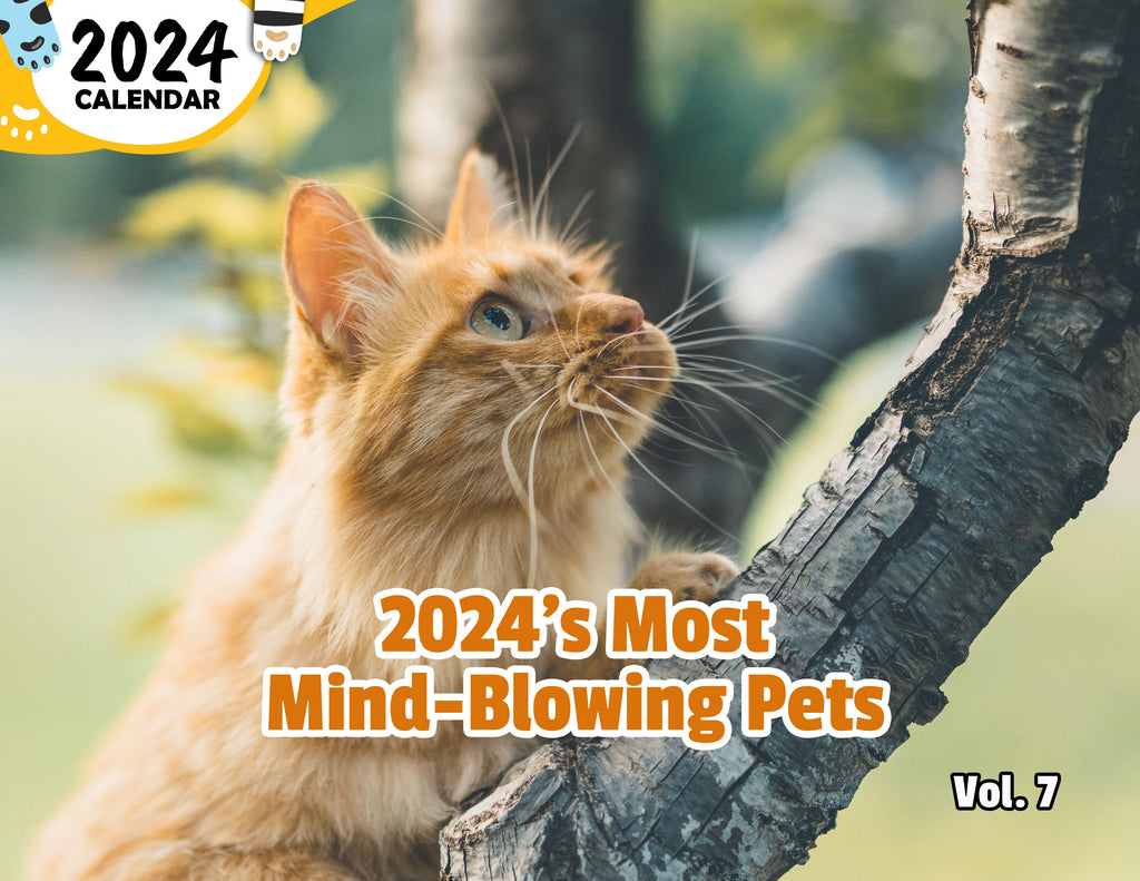 2024's Most Mind-Blowing Pets Volume Seven: 2024 Wall Calendar (Published)