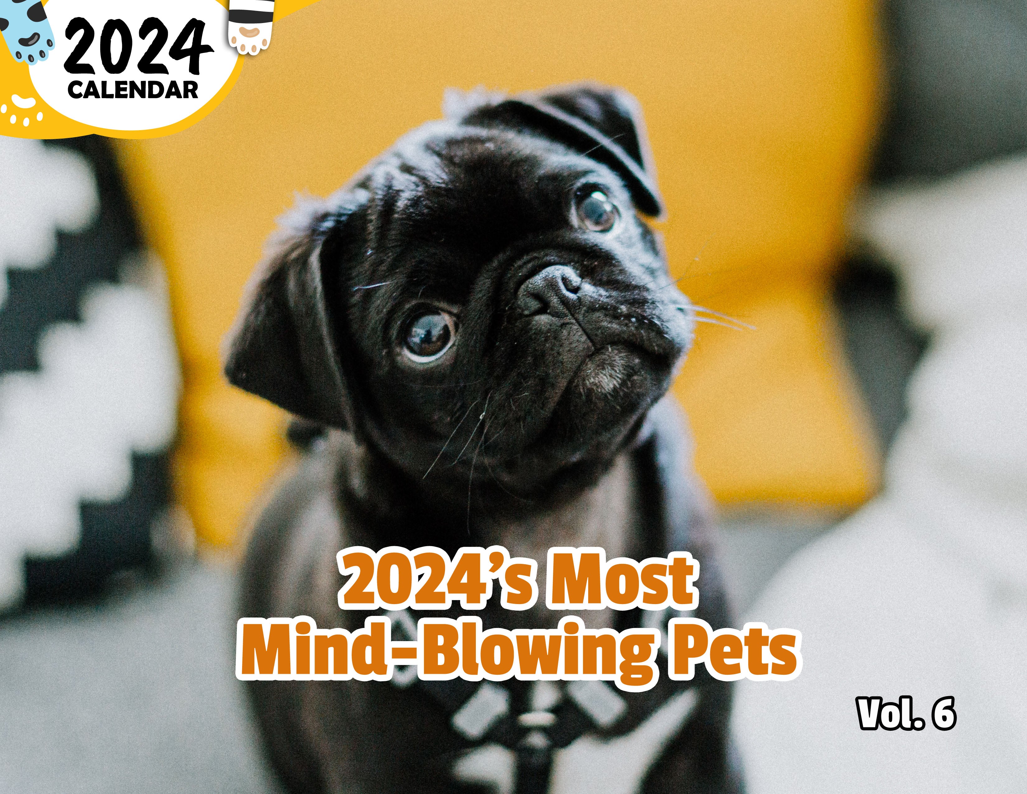 2024's Most Mind-Blowing Pets Volume Six: 2024 Wall Calendar (Published)