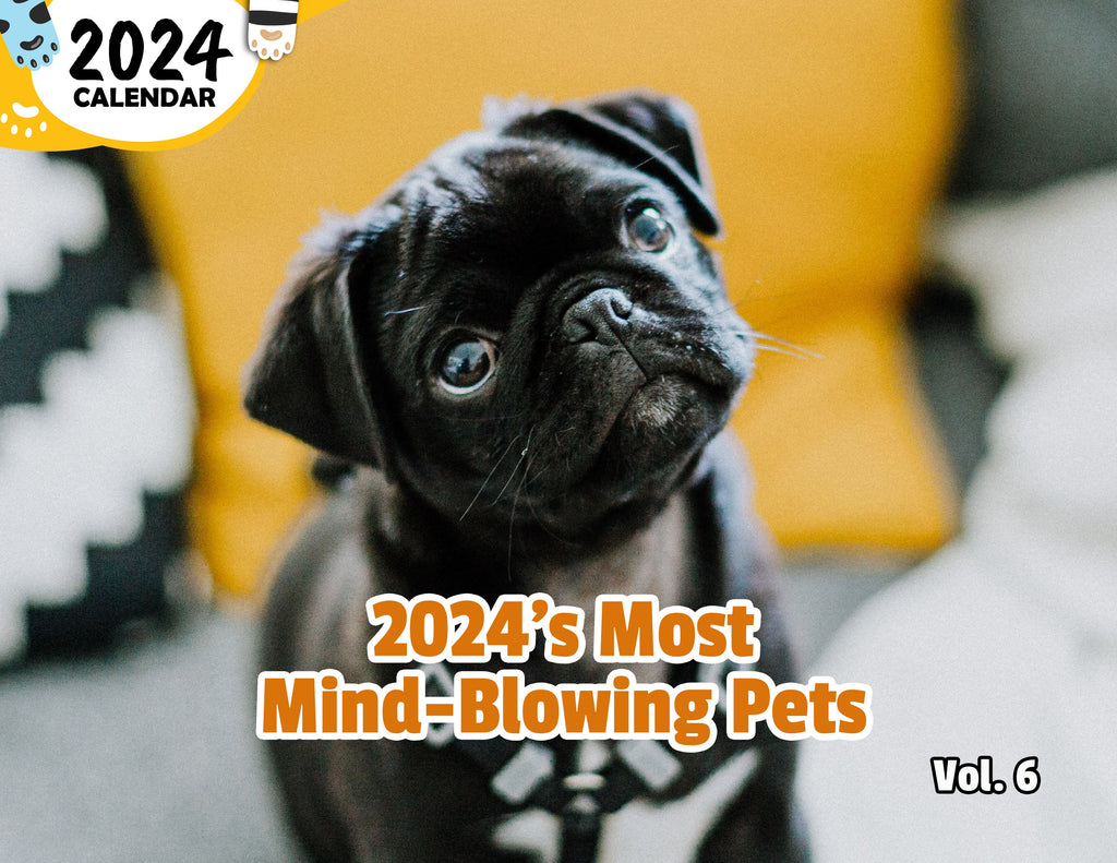 2024's Most Mind-Blowing Pets Volume Six: 2024 Wall Calendar (Published)