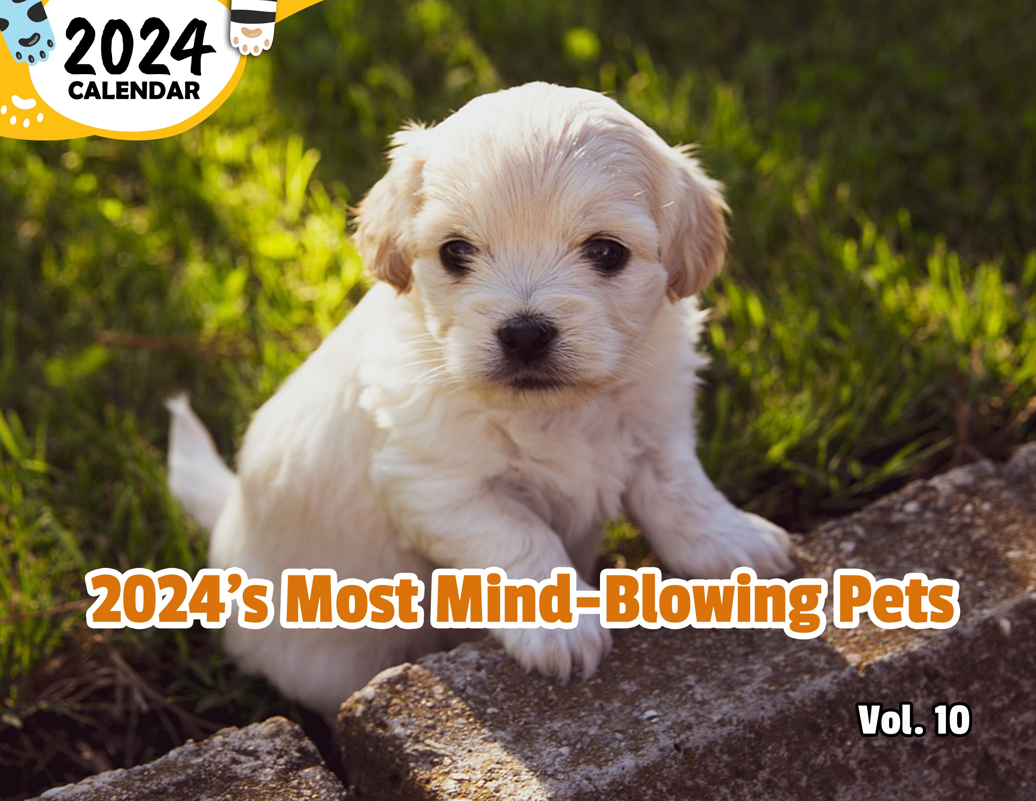 2024's Most Mind-Blowing Pets Volume Ten: 2024 Wall Calendar (Published)