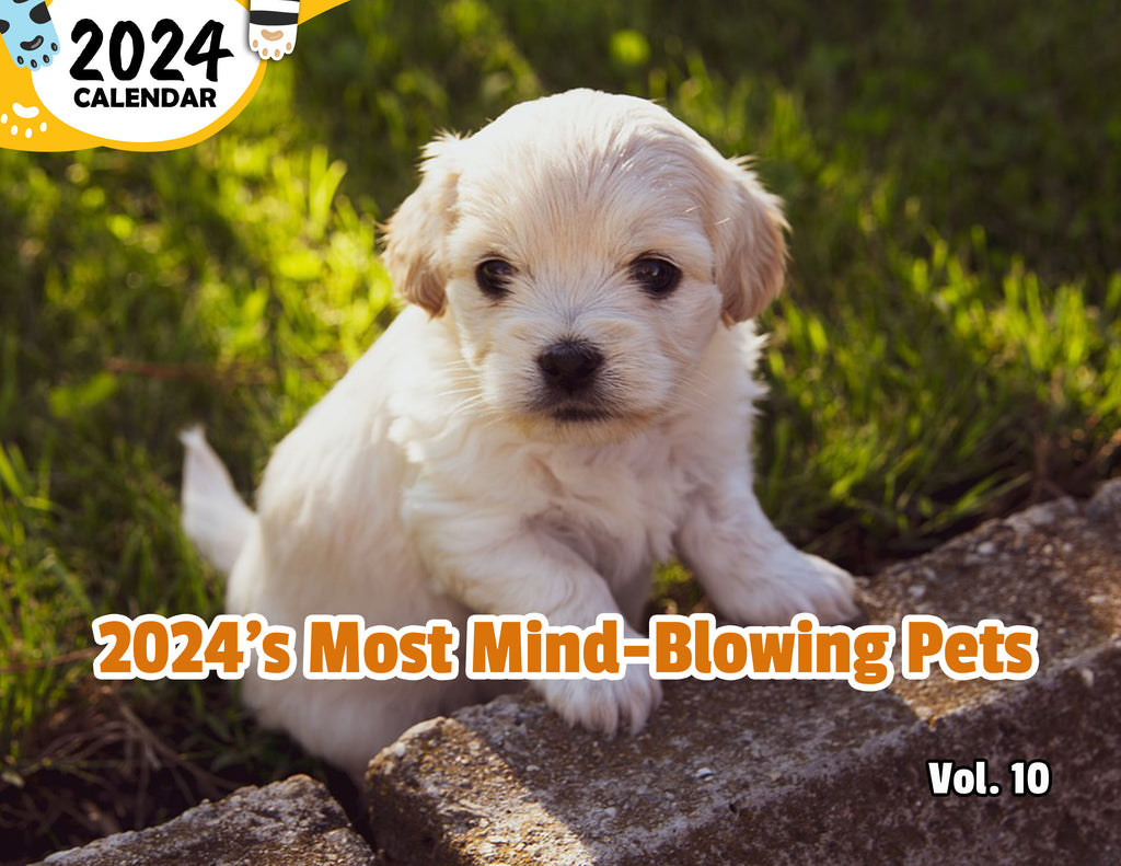 2024's Most Mind-Blowing Pets Volume Ten: 2024 Wall Calendar (Published)