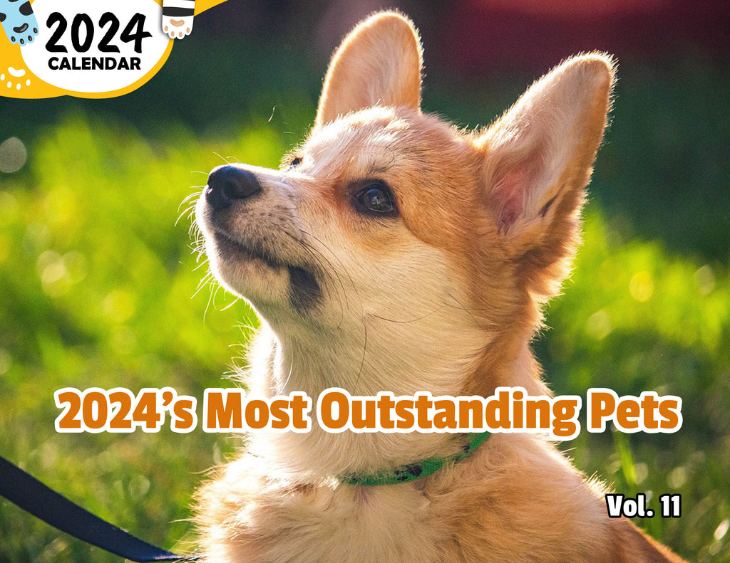 2024's Most Outstanding Pets Volume Eleven: 2024 Wall Calendar (Published)