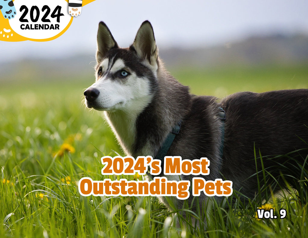 2024's Most Outstanding Pets Volume Nine: 2024 Wall Calendar (Published)