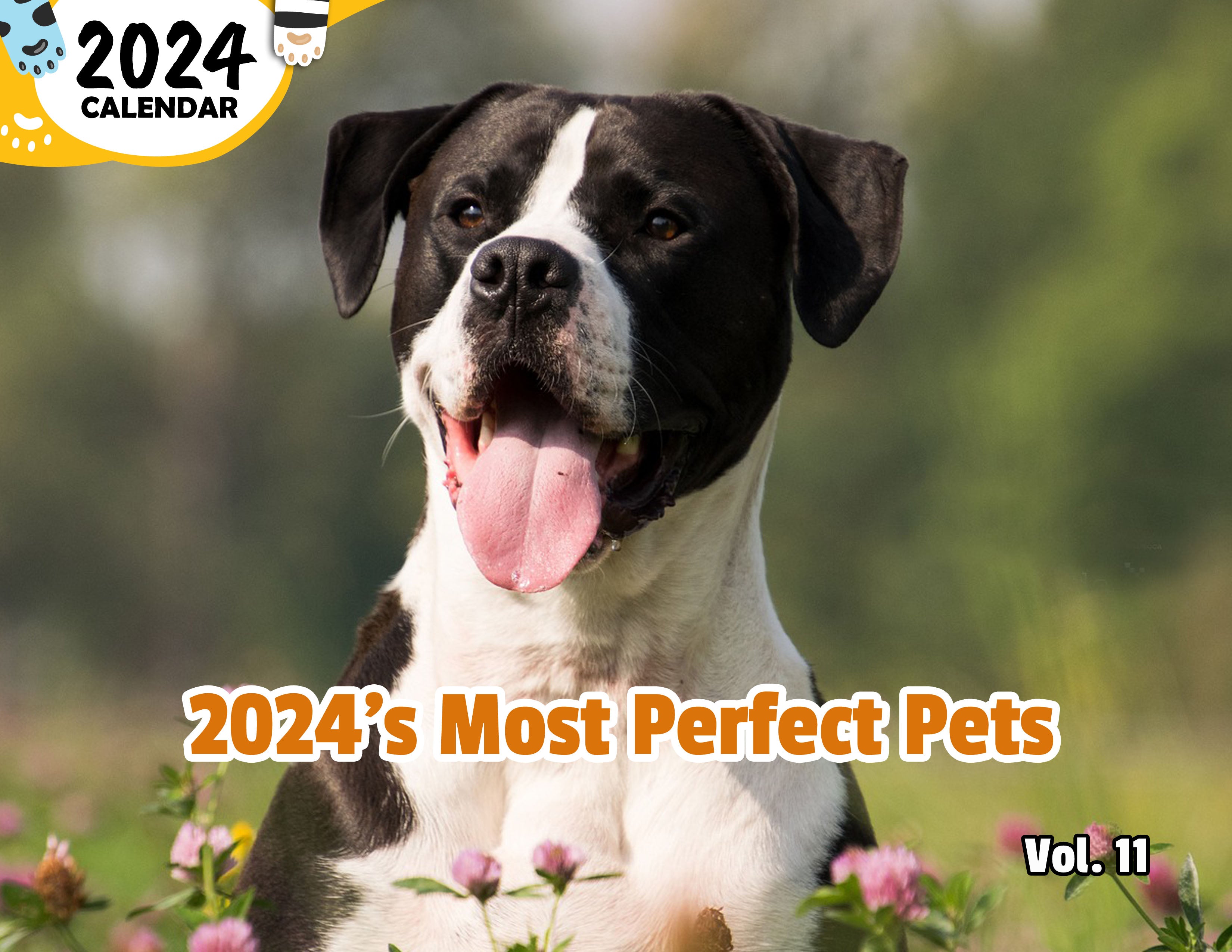 2024's Most Perfect Pets Volume Eleven: 2024 Wall Calendar (Published)