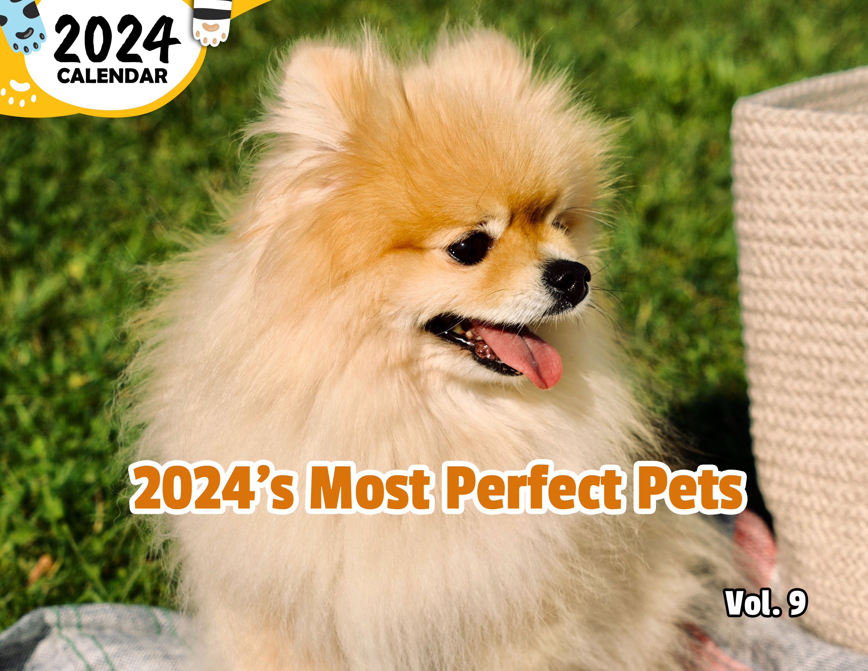 2024's Most Perfect Pets Volume Nine: 2024 Wall Calendar (Published)