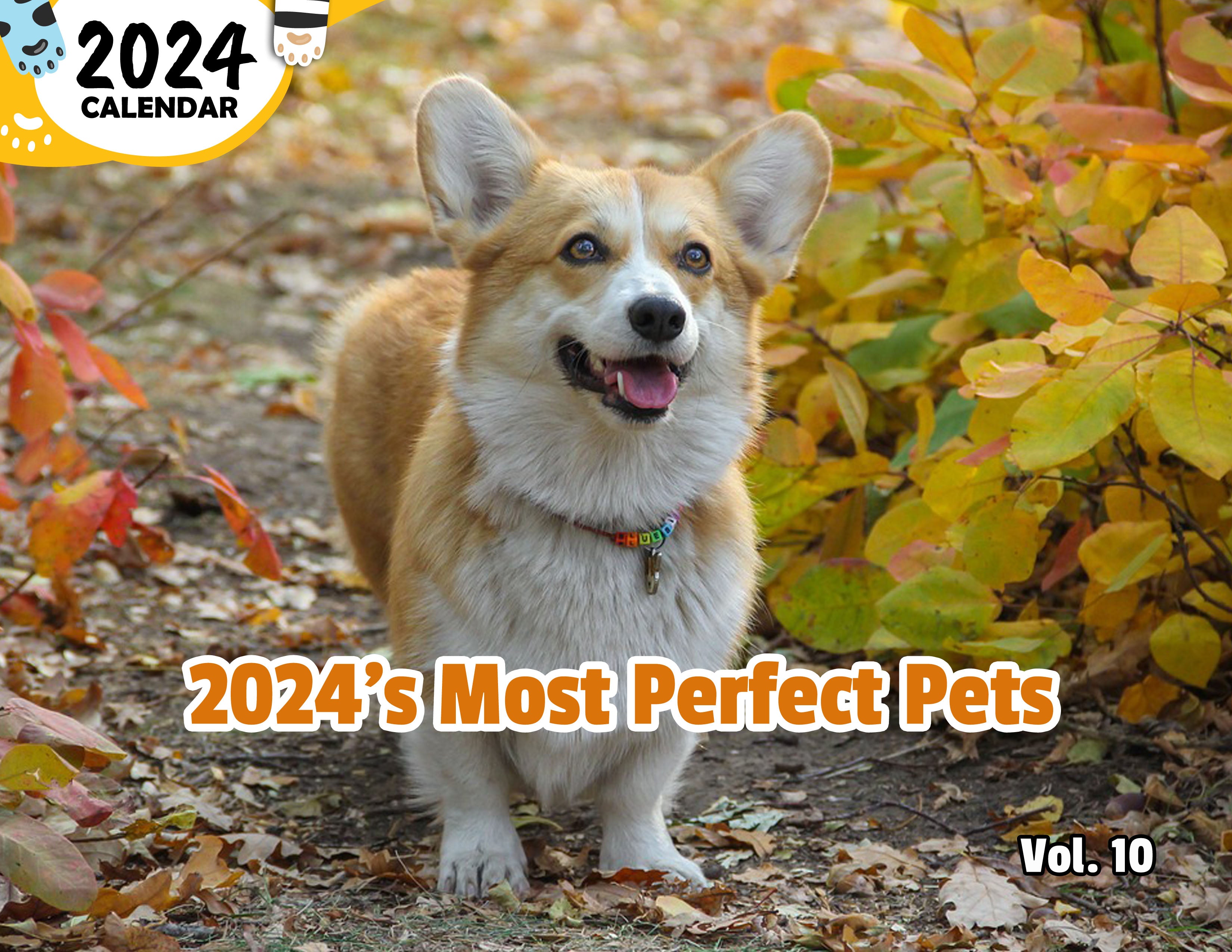 2024's Most Perfect Pets Volume Ten: 2024 Wall Calendar (Published)