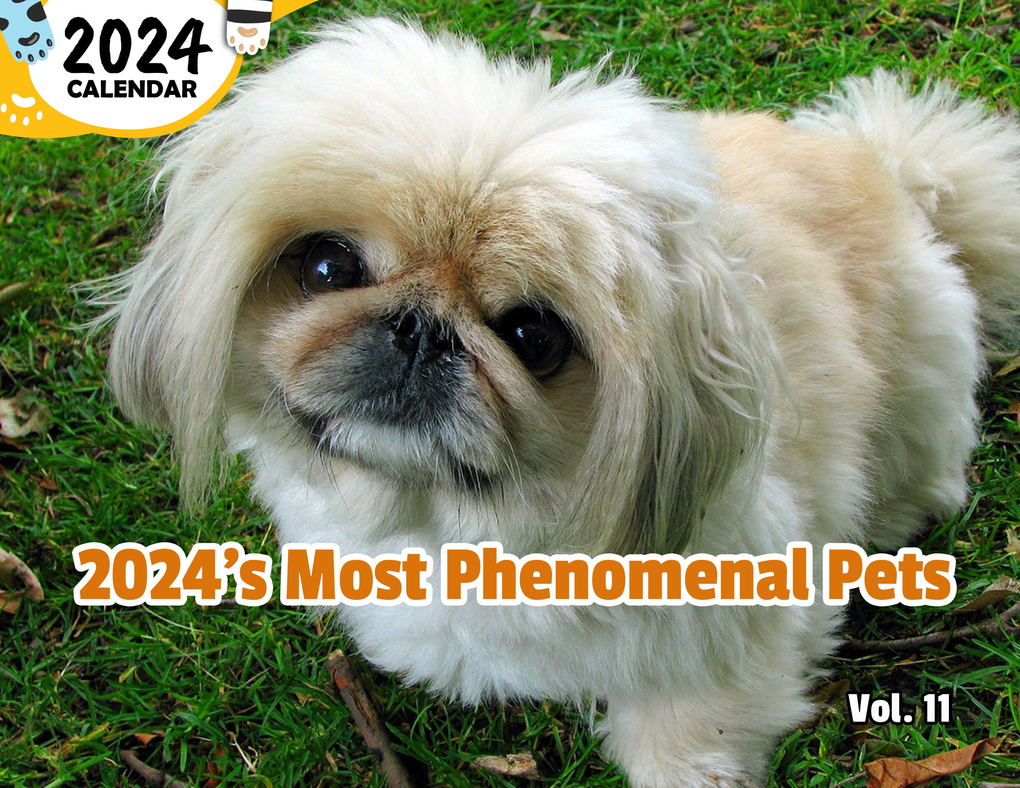 2024's Most Phenomenal Pets Volume Eleven: 2024 Wall Calendar (Published)