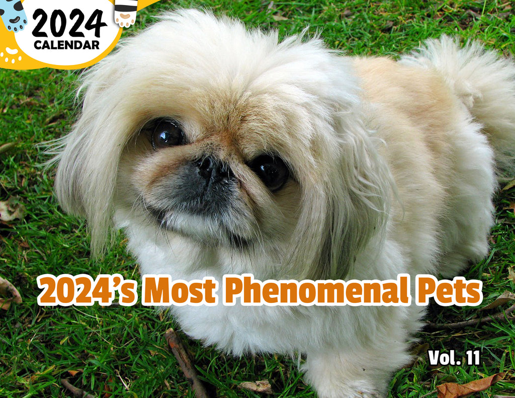 2024's Most Phenomenal Pets Volume Eleven: 2024 Wall Calendar (Published)