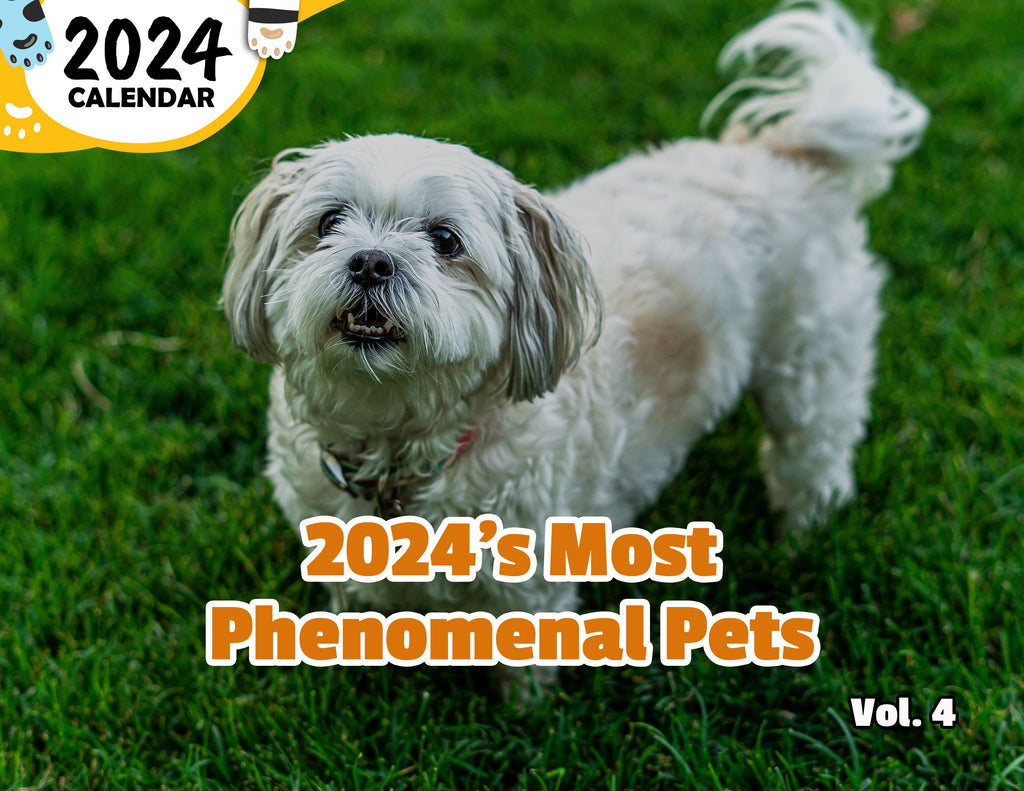 2024's Most Phenomenal Pets Volume Four: 2024 Wall Calendar (Published)