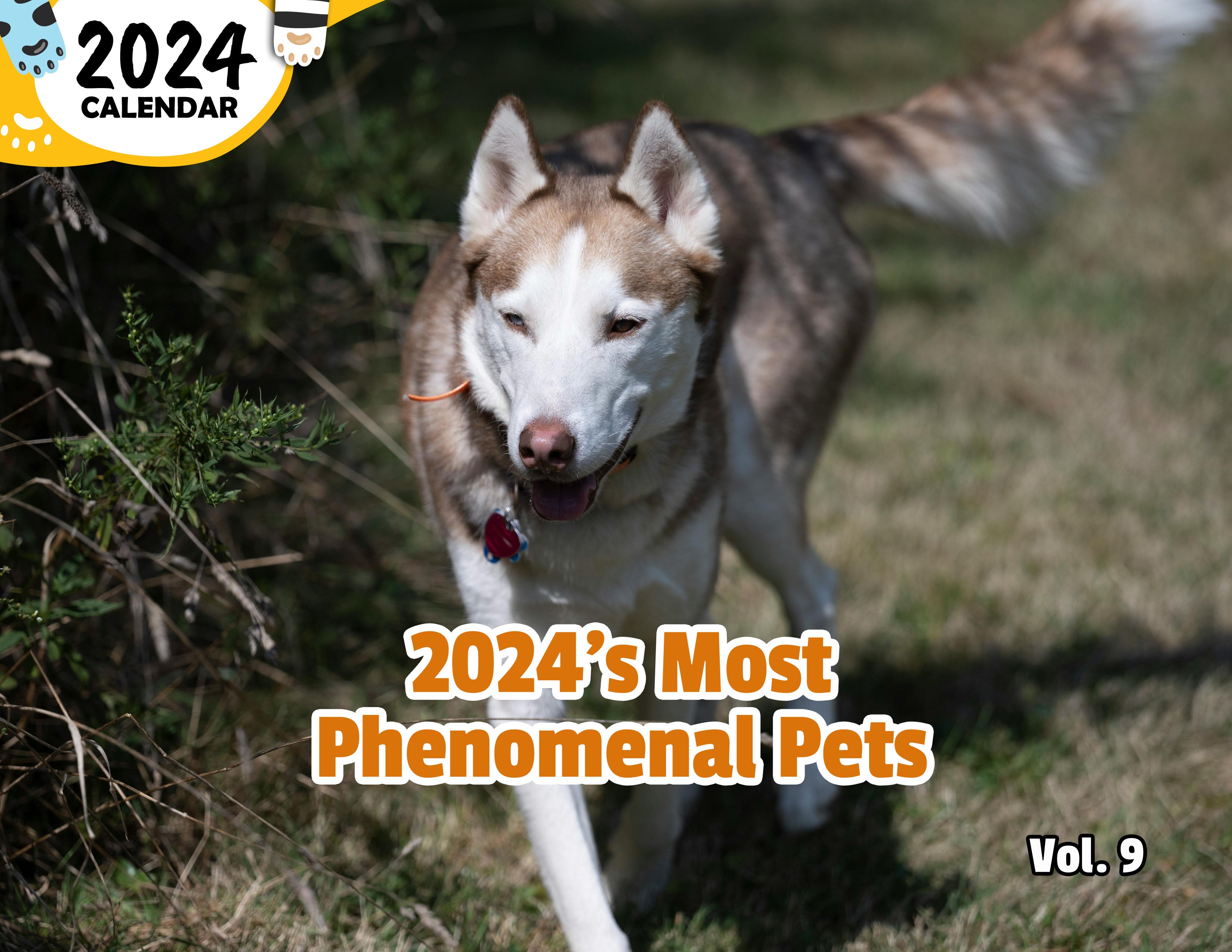 2024's Most Phenomenal Pets Volume Nine: 2024 Wall Calendar (Published)