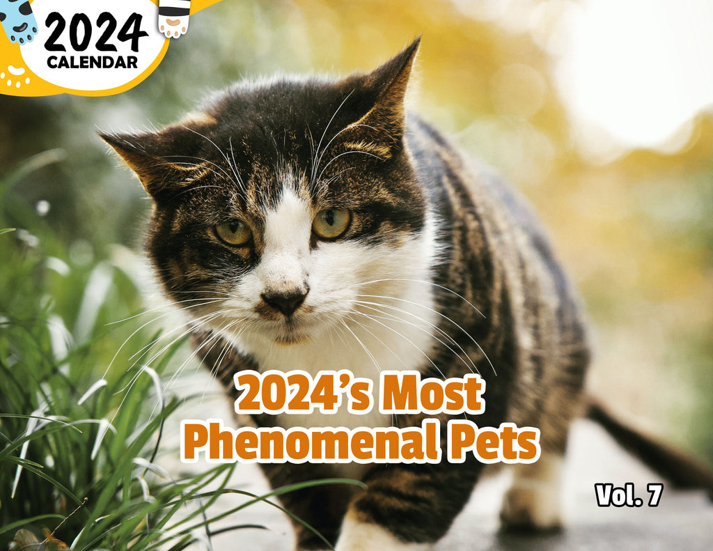 2024's Most Phenomenal Pets Volume Seven: 2024 Wall Calendar (Published)