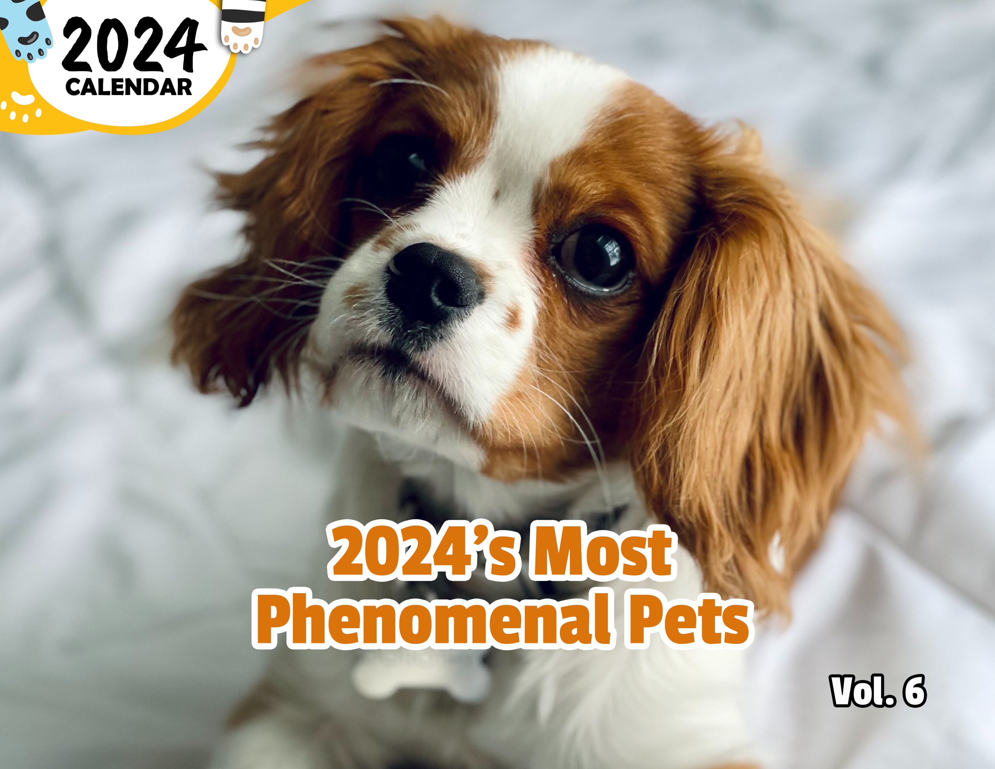 2024's Most Phenomenal Pets Volume Six: 2024 Wall Calendar (Published)