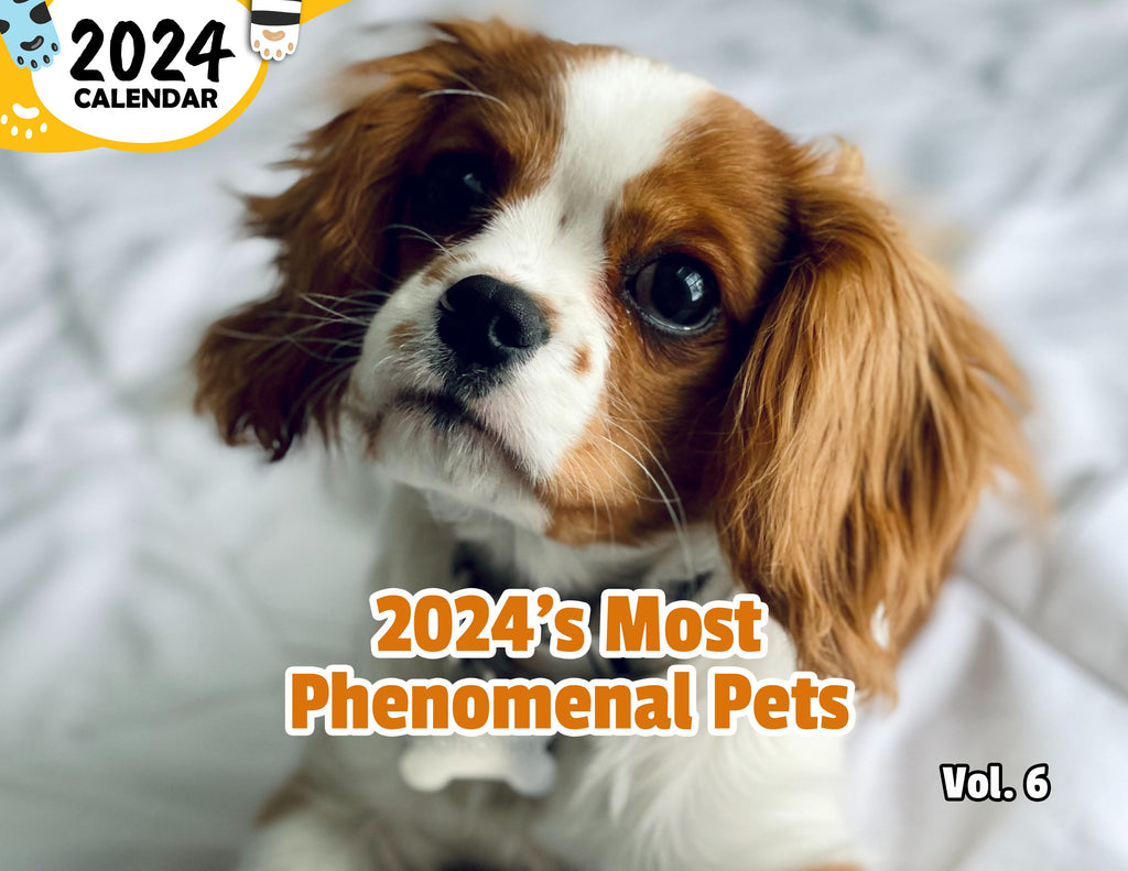 2024's Most Phenomenal Pets Volume Six: 2024 Wall Calendar (Published)