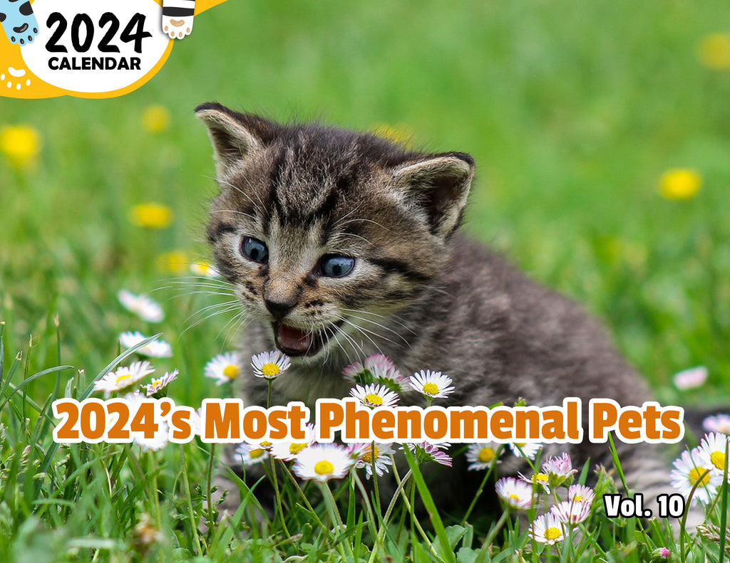 2024's Most Phenomenal Pets Volume Ten: 2024 Wall Calendar (Published)