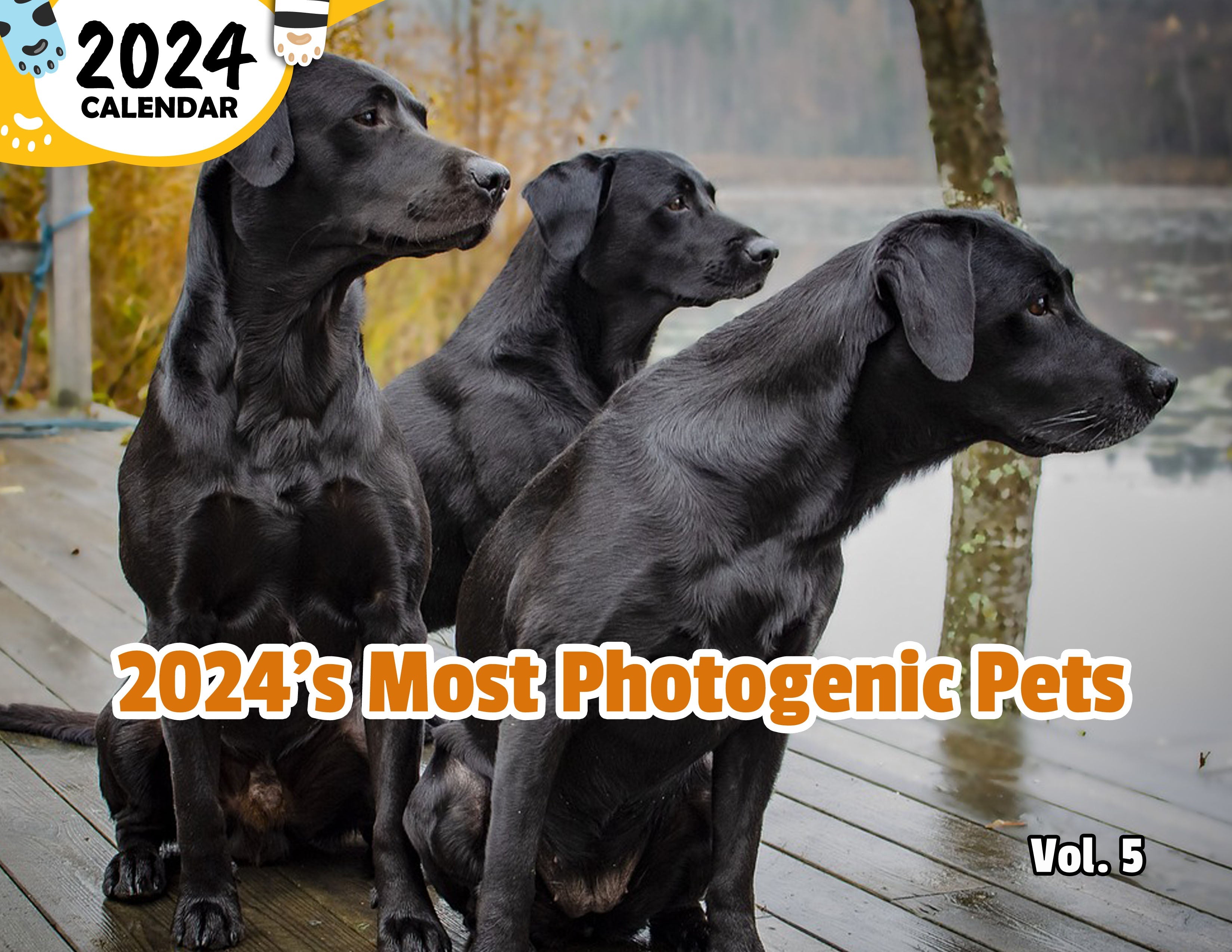 2024's Most Photogenic Pets Volume Five: 2024 Wall Calendar (Published)