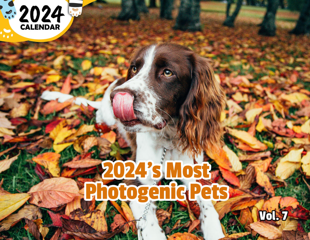 2024's Most Photogenic Pets Volume Seven: 2024 Wall Calendar (Published)