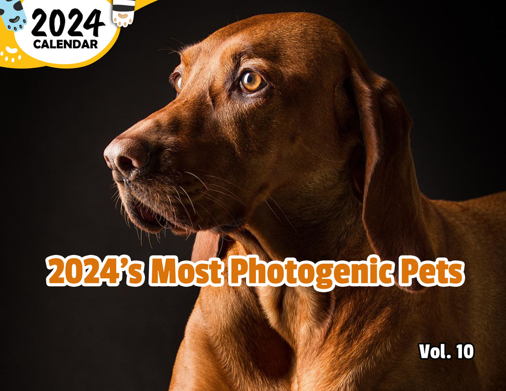 2024's Most Photogenic Pets Volume Ten: 2024 Wall Calendar (Published)