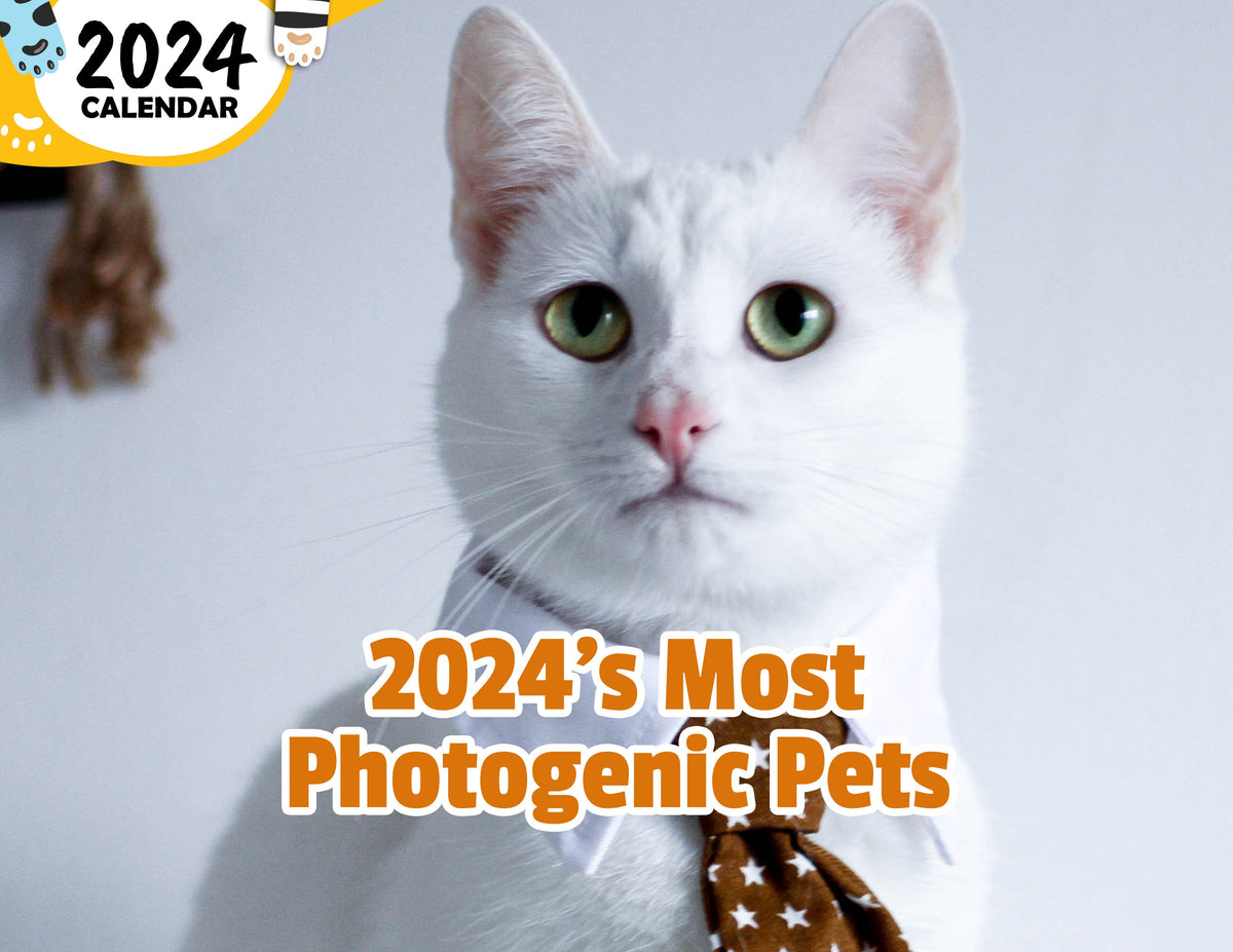 2024's Most Photogenic Pets 2024 Wall Calendar (Published) Praise My