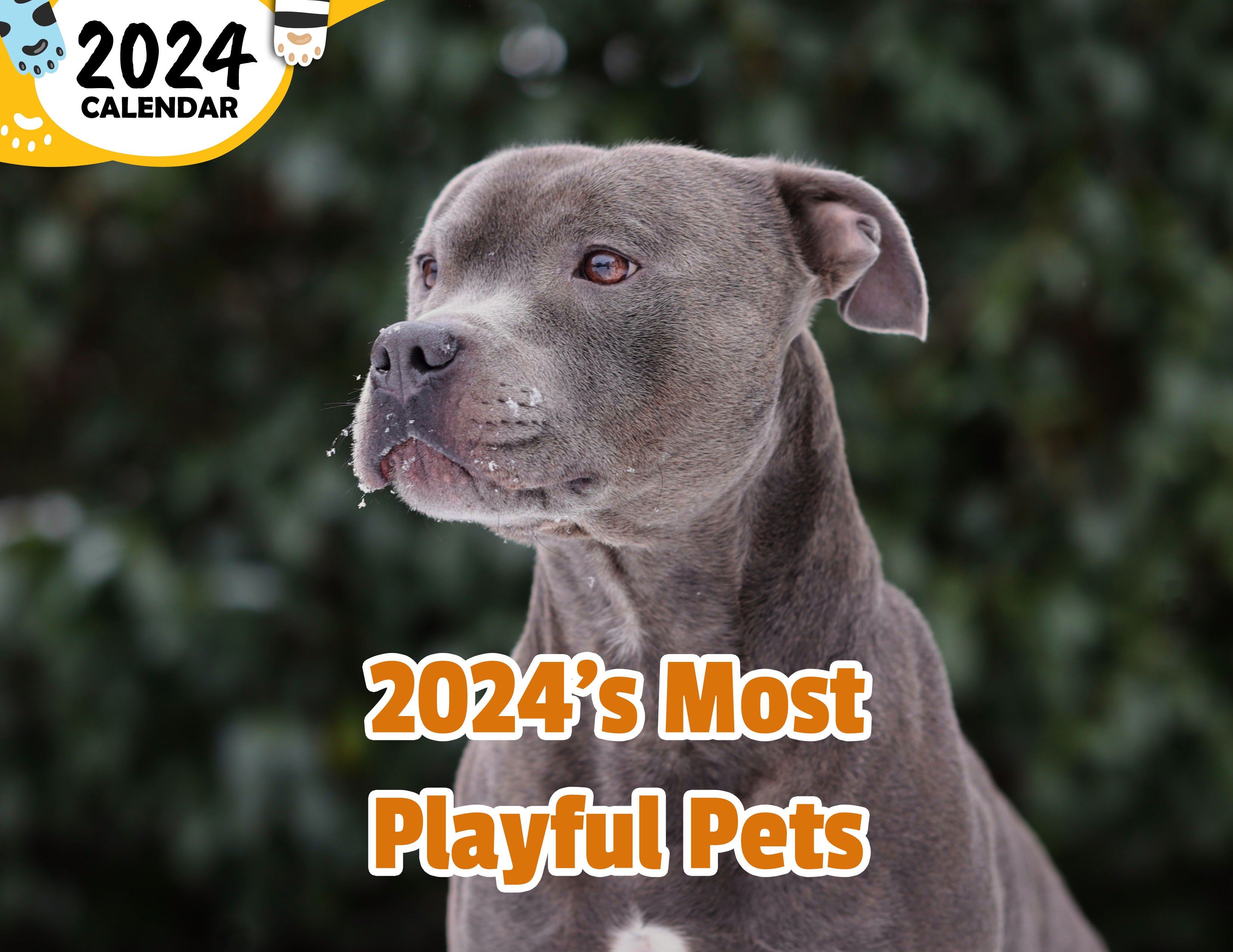 2024's Most Playful Pets: 2024 Wall Calendar (Published)