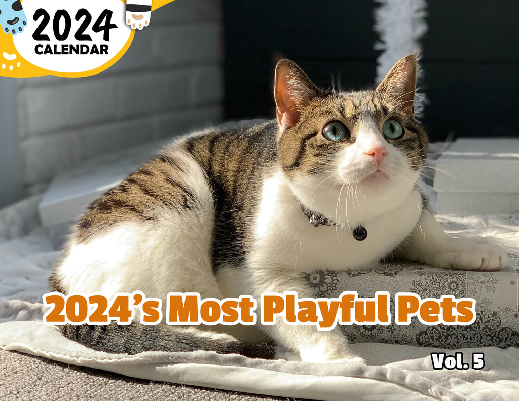 2024's Most Playful Pets Volume Five: 2024 Wall Calendar (Published)