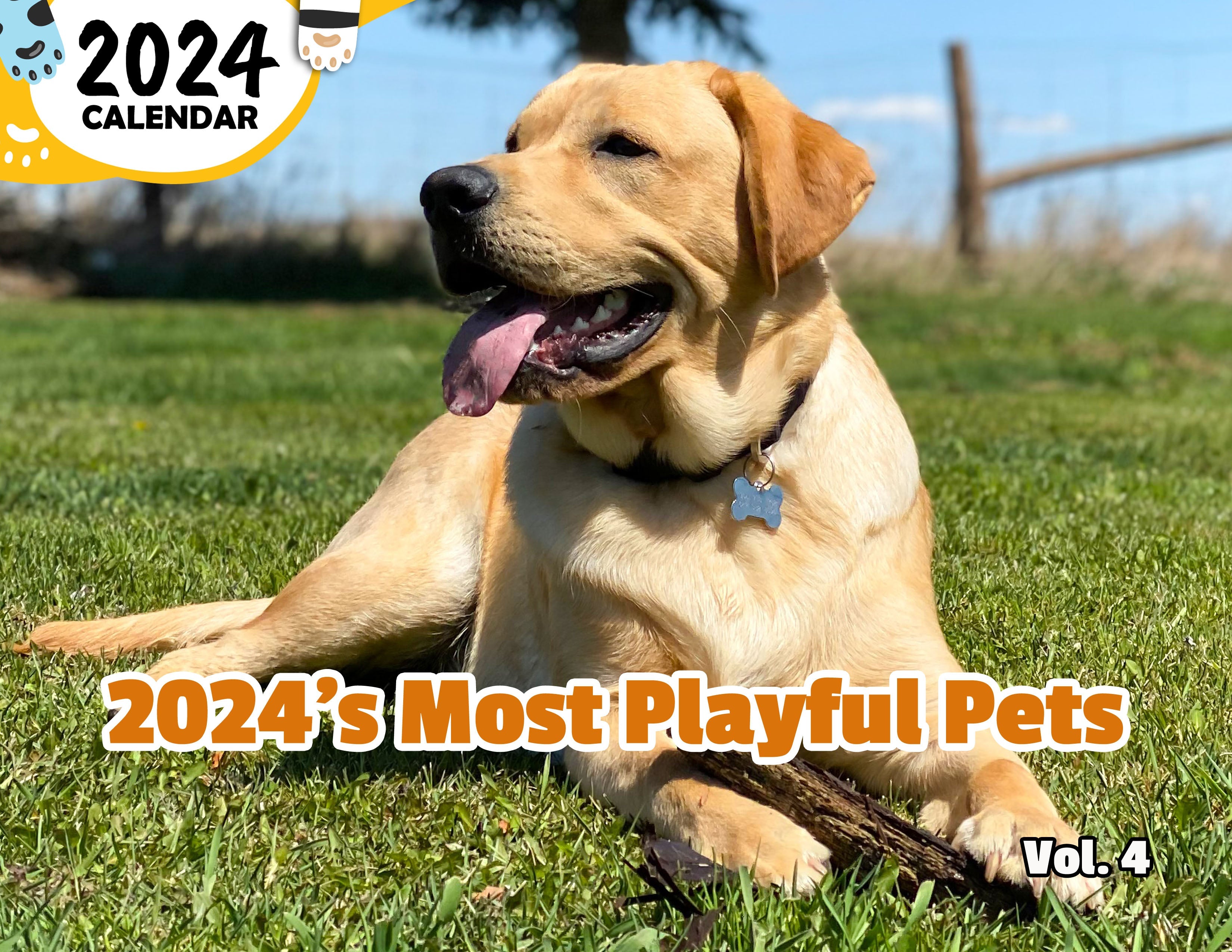 2024's Most Playful Pets Volume Four: 2024 Wall Calendar (Published)