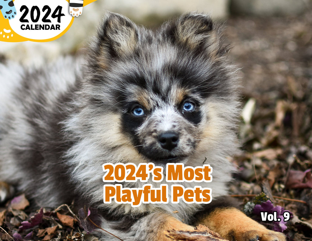 2024's Most Playful Pets Volume Nine: 2024 Wall Calendar (Published)