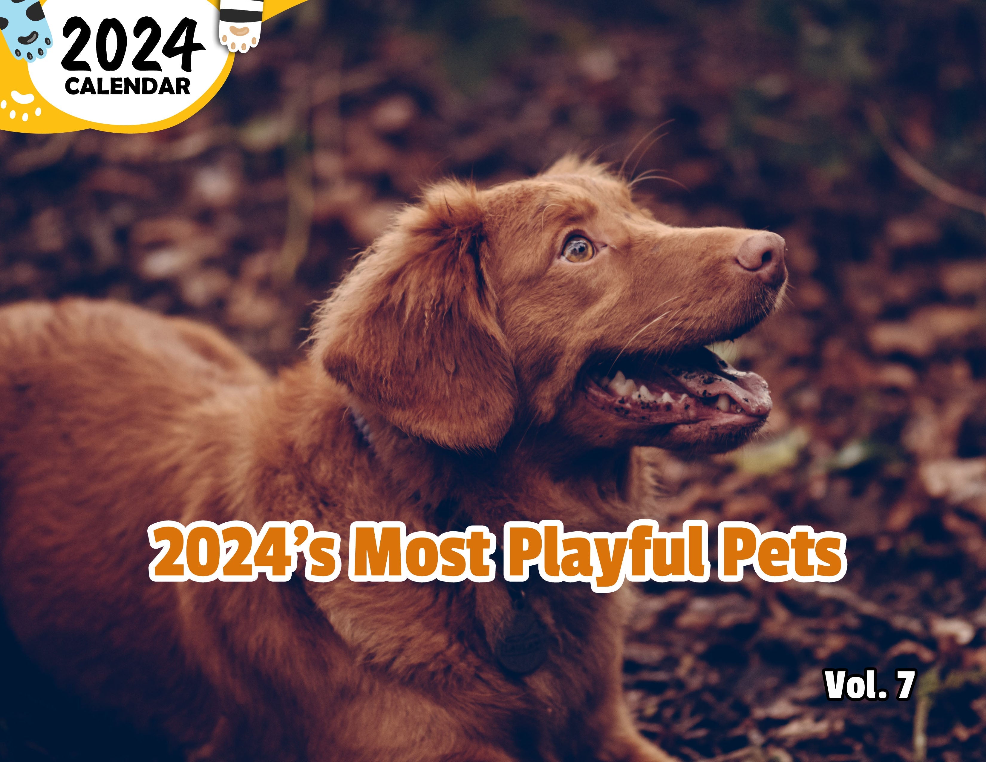 2024's Most Playful Pets Volume Seven: 2024 Wall Calendar (Pre-Order)