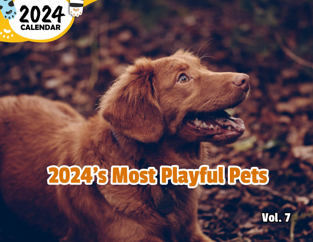 2024's Most Playful Pets Volume Seven: 2024 Wall Calendar (Pre-Order)