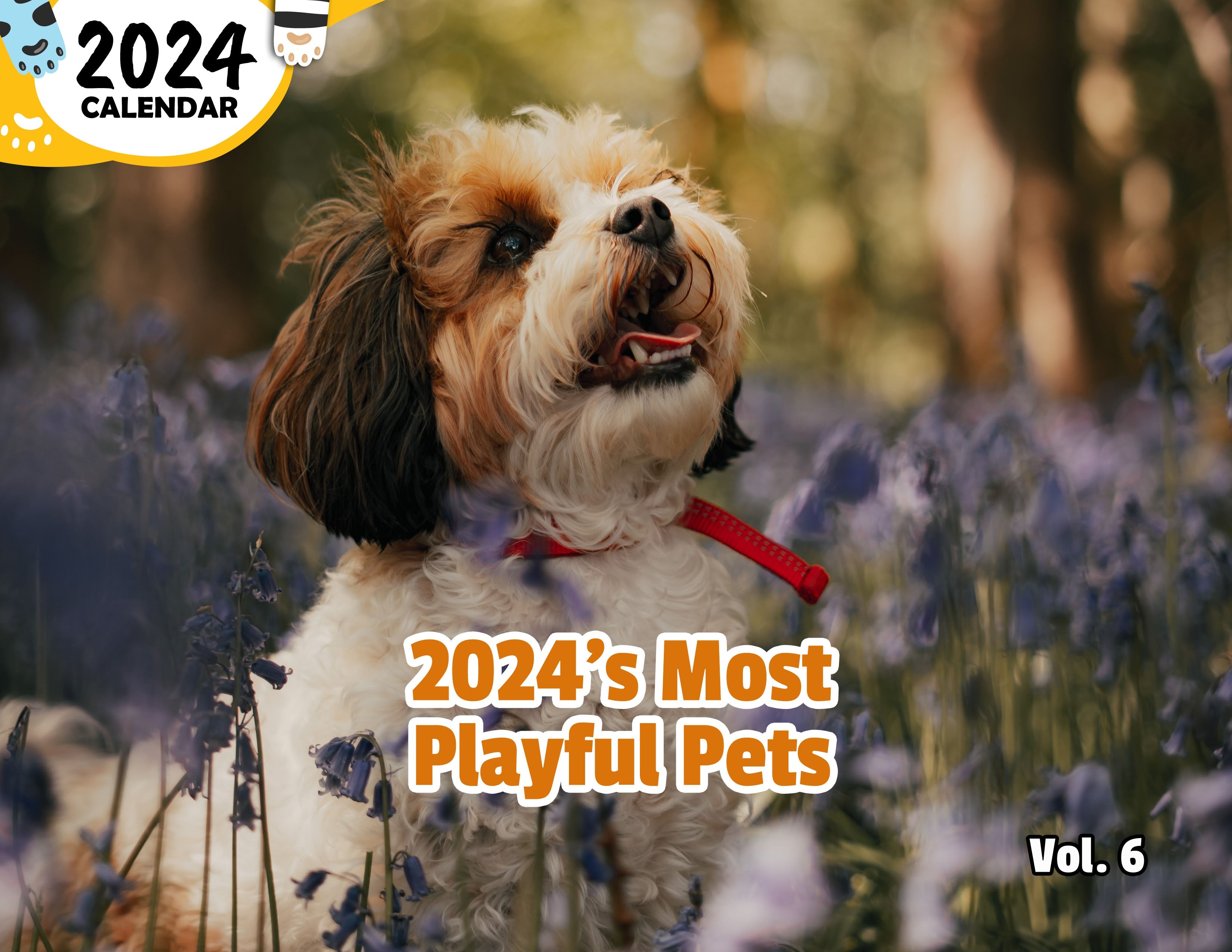 2024's Most Playful Pets Volume Six: 2024 Wall Calendar (Published)