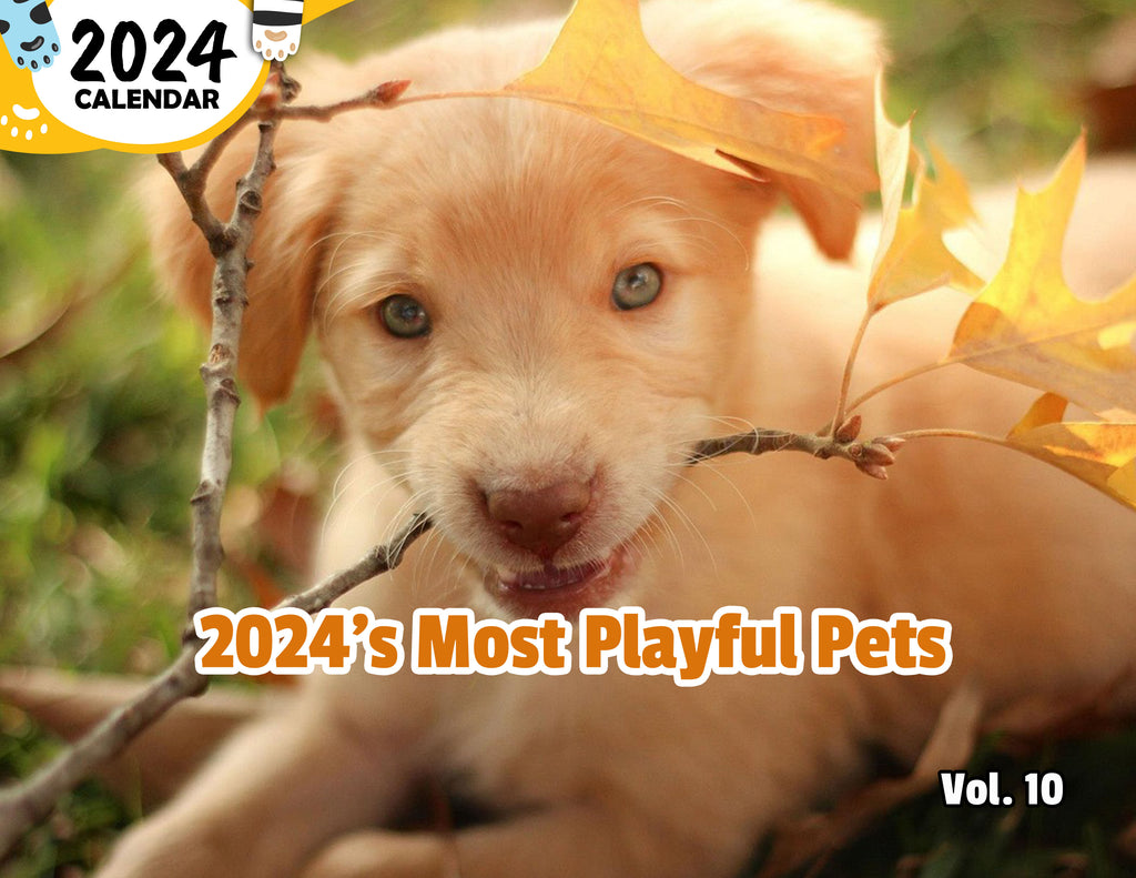 2024's Most Playful Pets Volume Ten: 2024 Wall Calendar (Published)