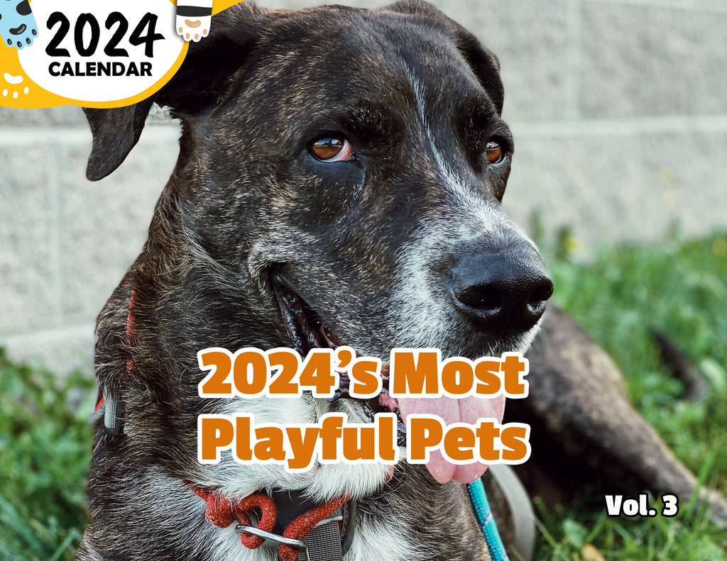 2024's Most Playful Pets Volume Three: 2024 Wall Calendar (Published)