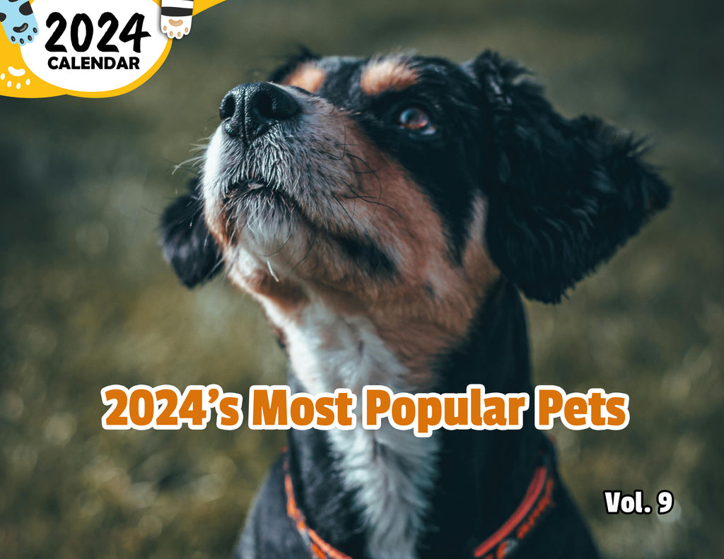 2024's Most Popular Pets Volume Nine: 2024 Wall Calendar (Published)