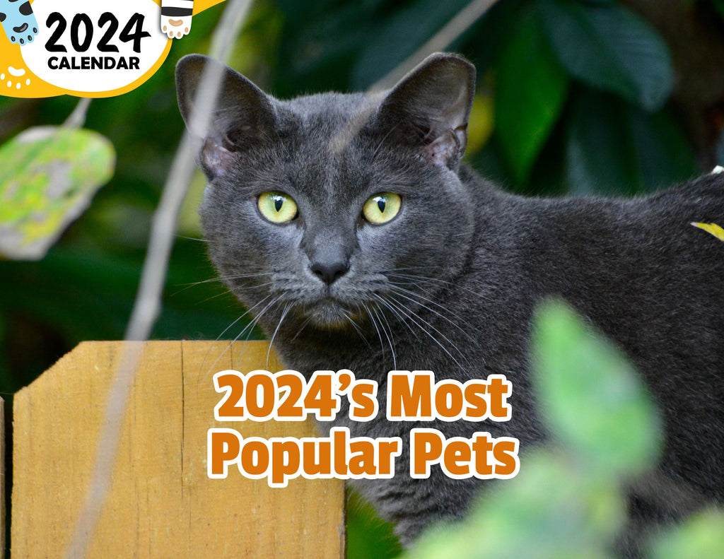 2024's Most Popular Pets: 2024 Wall Calendar (Published)