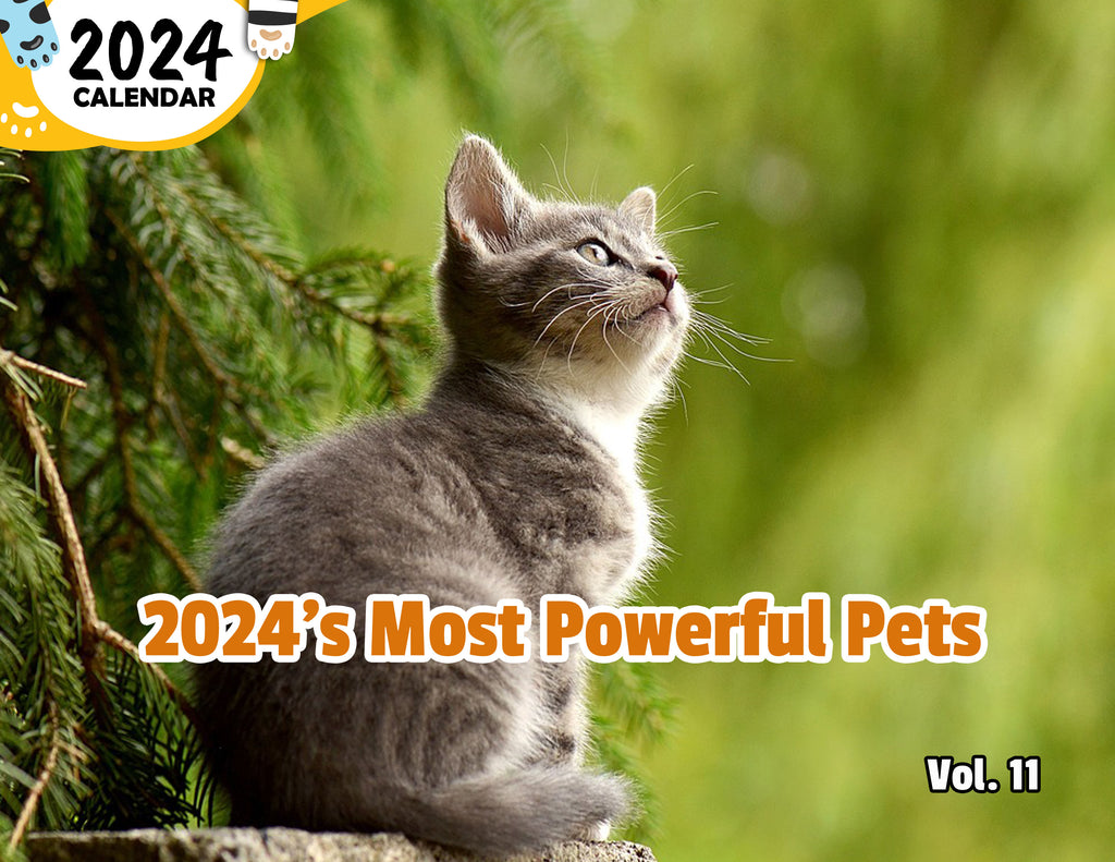 2024's Most Powerful Pets Volume Eleven: 2024 Wall Calendar (Published)
